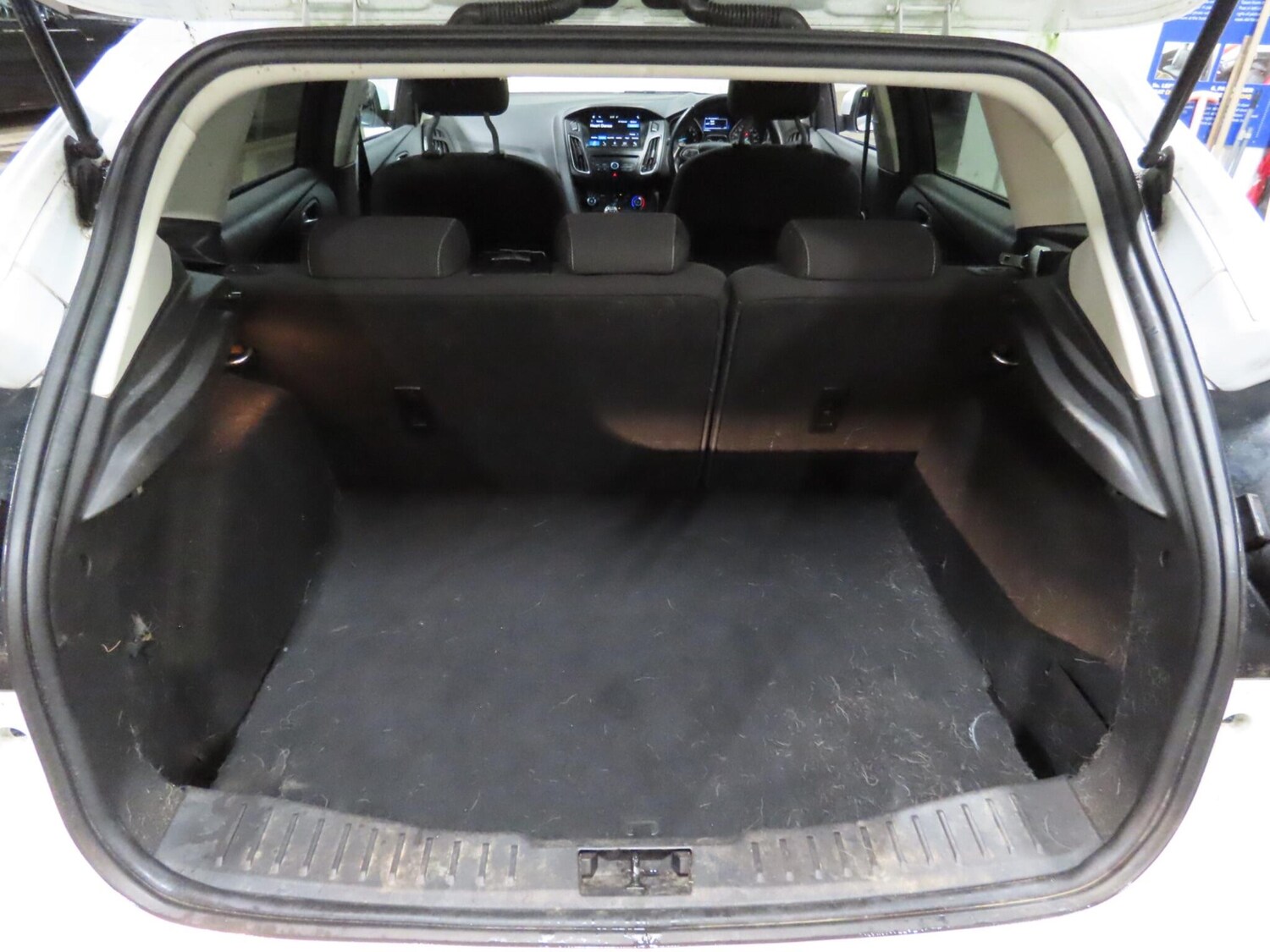 Used Ford Focus for sale - 77585889: Photo 12