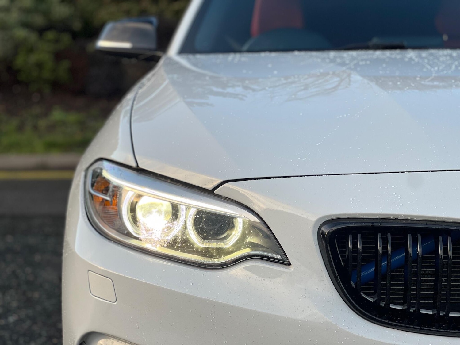 Used BMW 2 Series 2016 for sale - 76742774: Photo 30