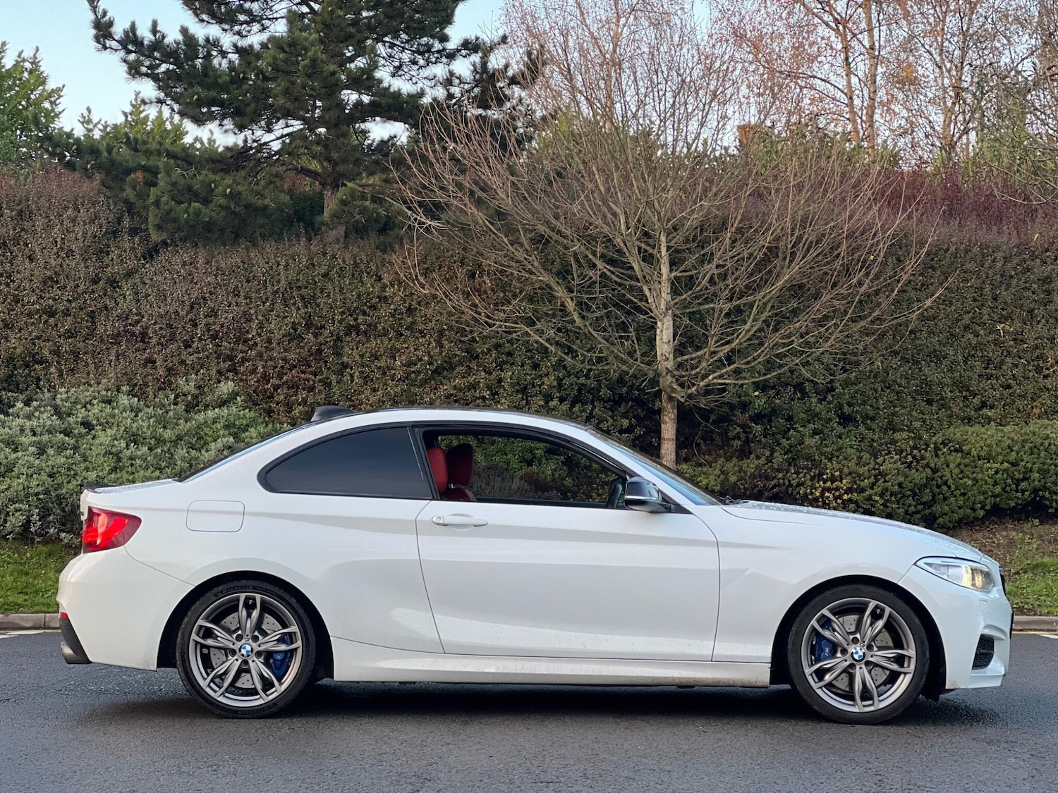 Used BMW 2 Series 2016 for sale - 76742774: Photo 9