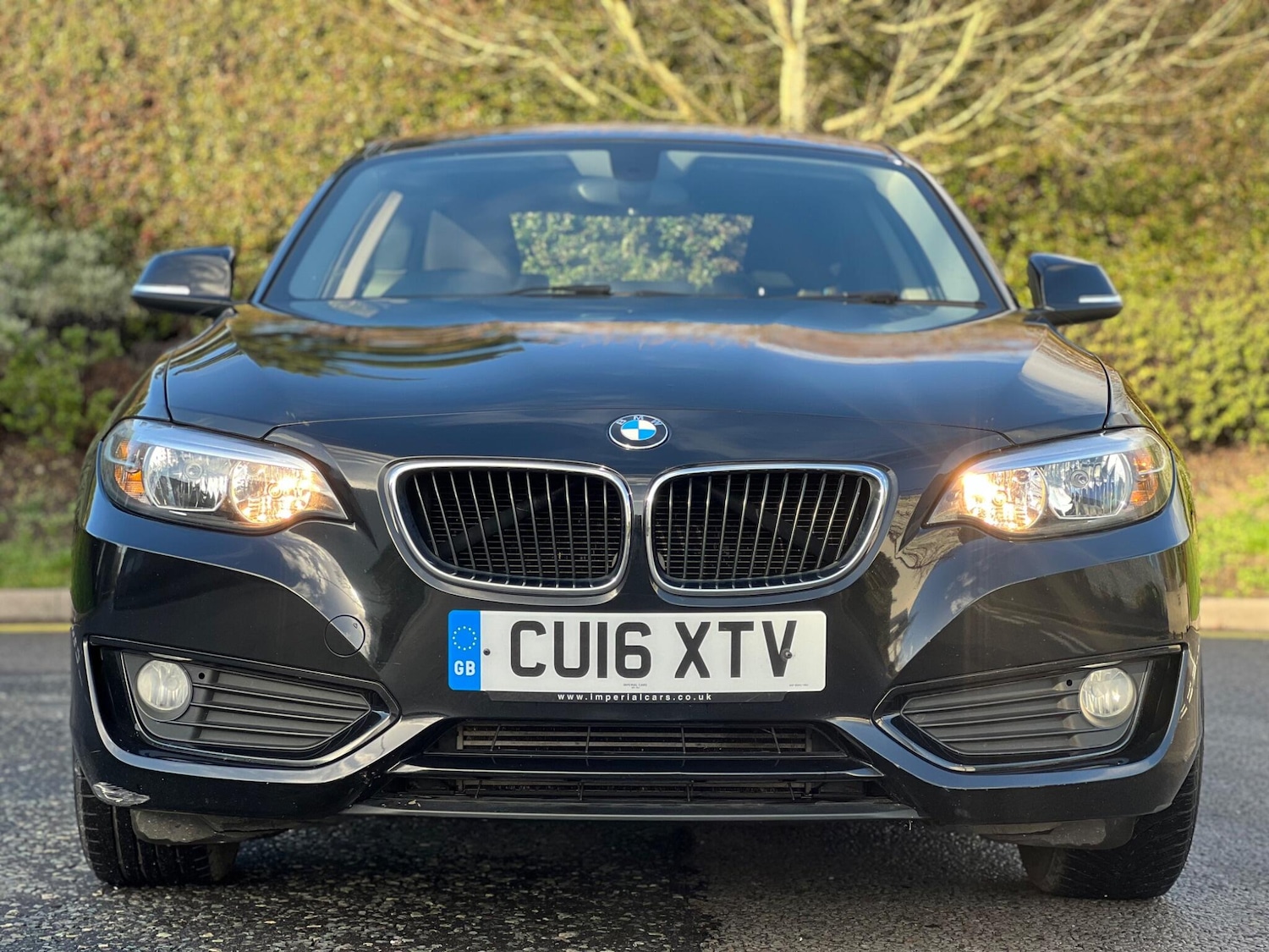 Used BMW 2 Series 2016 for sale - 76898904: Photo 2