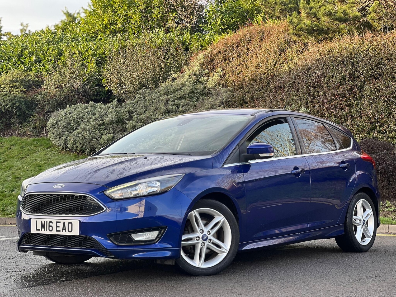 Used Ford Focus 2016 for sale - 76899191: Photo 3