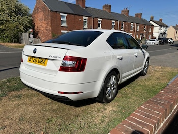 Used Skoda Octavia 2020 for sale - 79504742: Photo