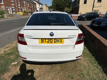 Used Skoda Octavia 2020 for sale - 79504742: Photo