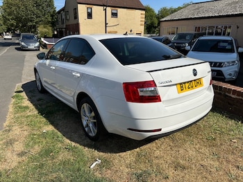 Used Skoda Octavia 2020 for sale - 79504742: Photo