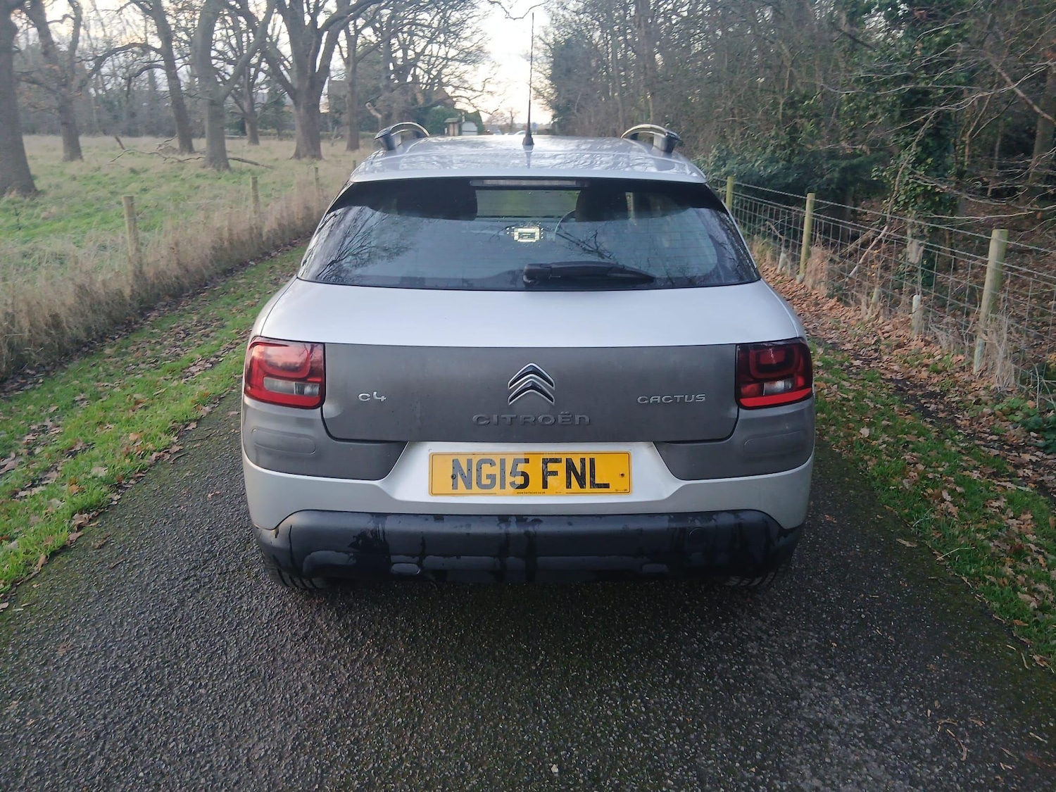 Used Citroen C4 Cactus 2015 for sale - 76913881: Photo 10