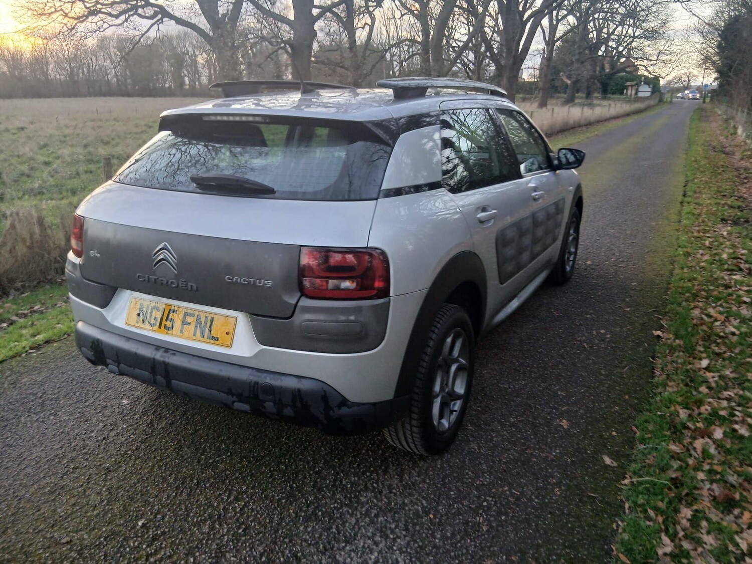 Used Citroen C4 Cactus 2015 for sale - 76913881: Photo 9