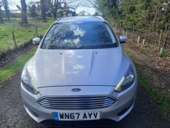Used Ford Focus 2017 for sale - 74838054: Photo