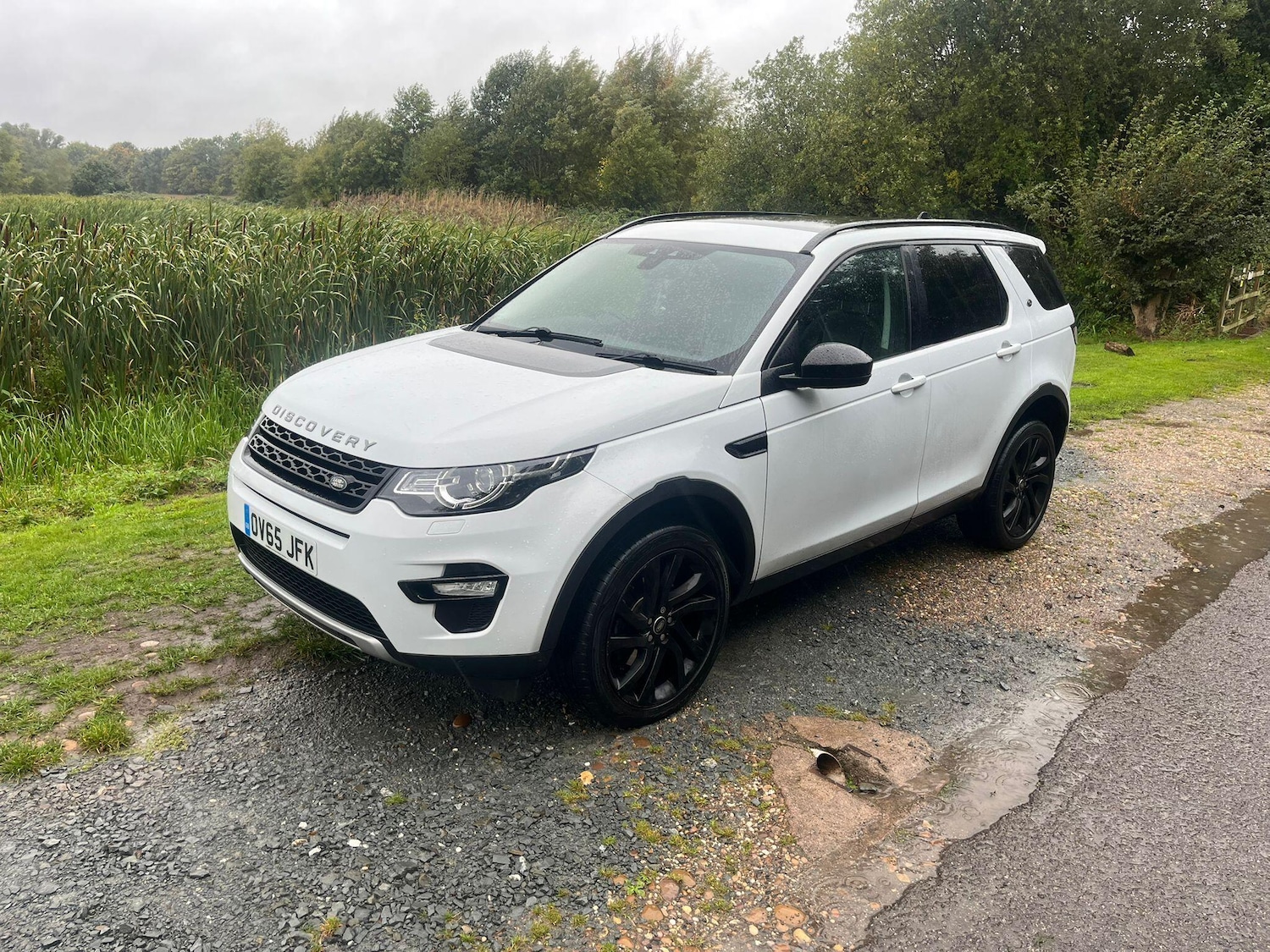 Used Land Rover Discovery Sport 2015 for sale - 76166406: Photo 16