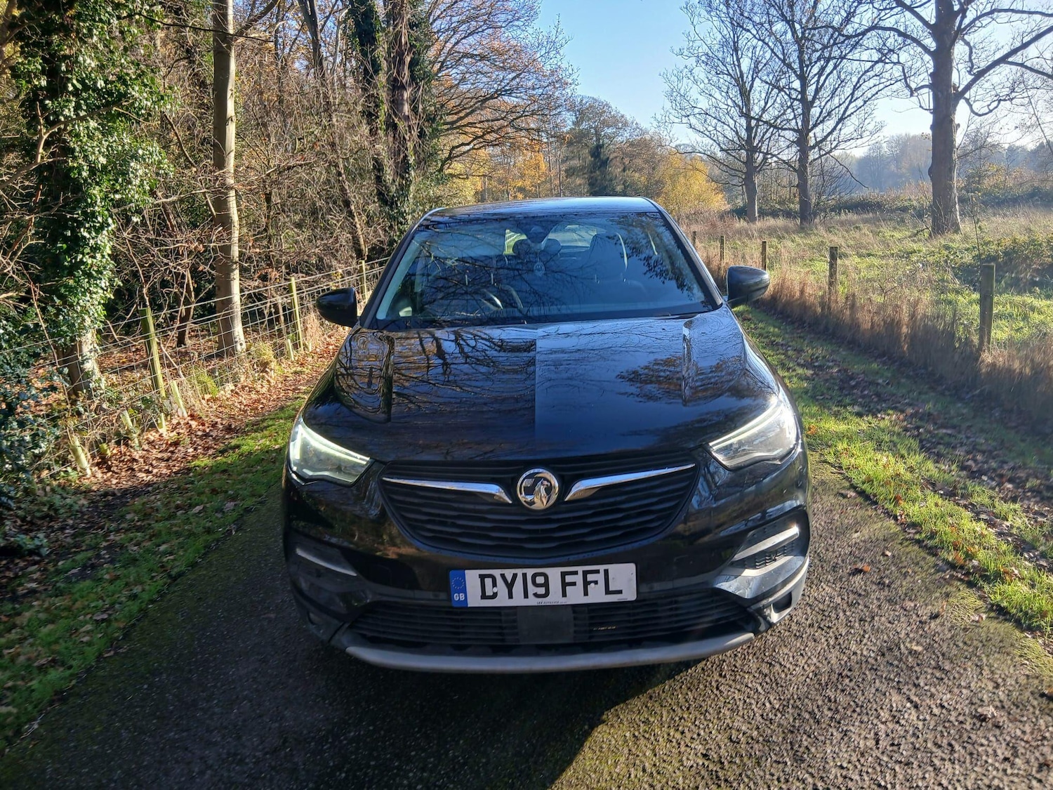 Used Vauxhall Grandland X 2019 for sale - 76801507: Photo 6