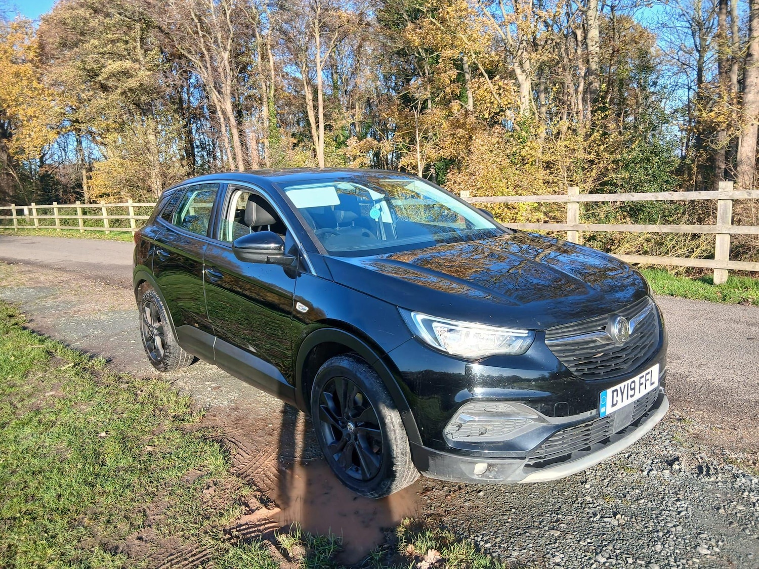 Used Vauxhall Grandland X 2019 for sale - 76801507: Photo 7