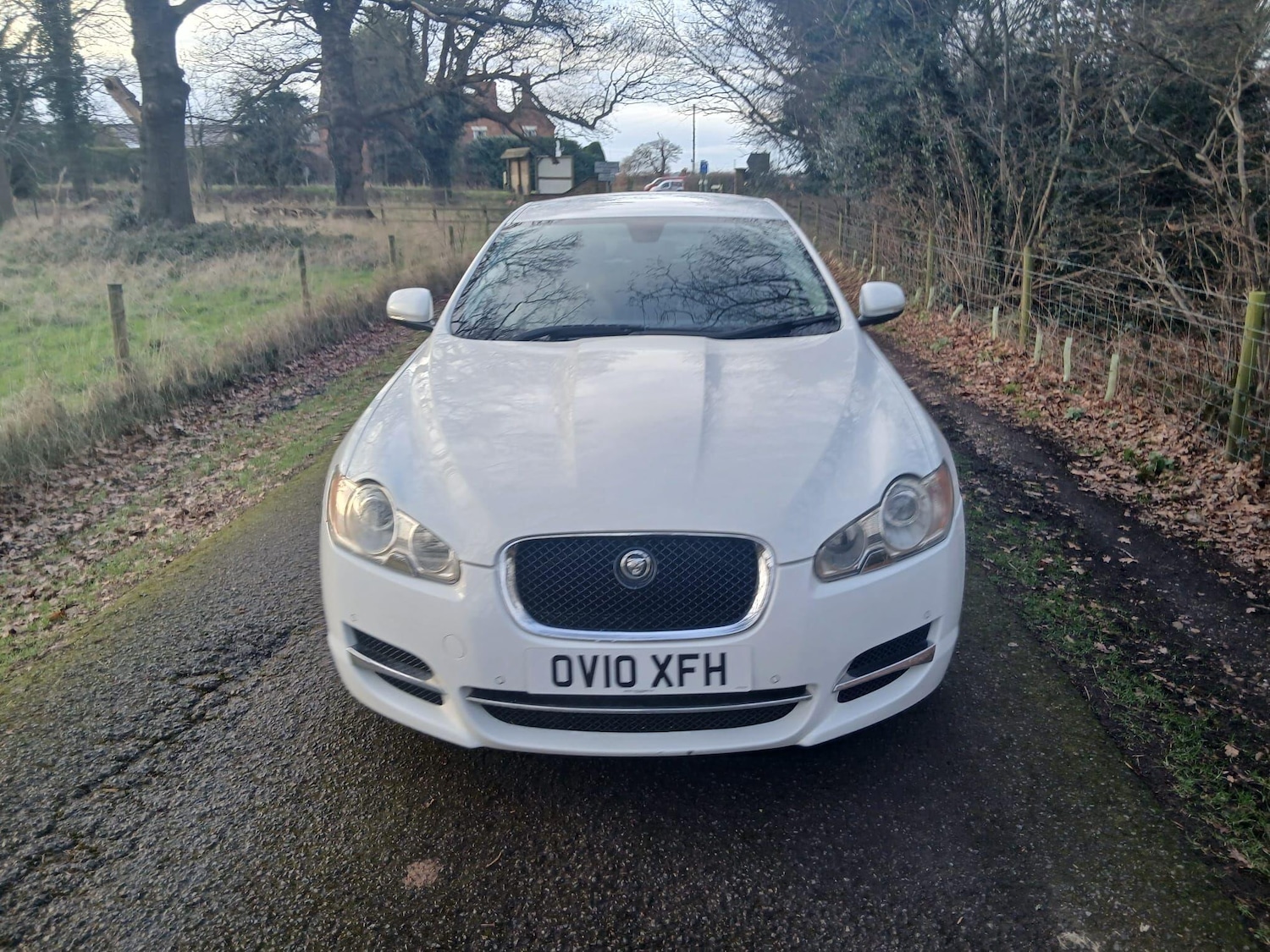 Used Jaguar XF 2010 for sale - 77120100: Photo 3