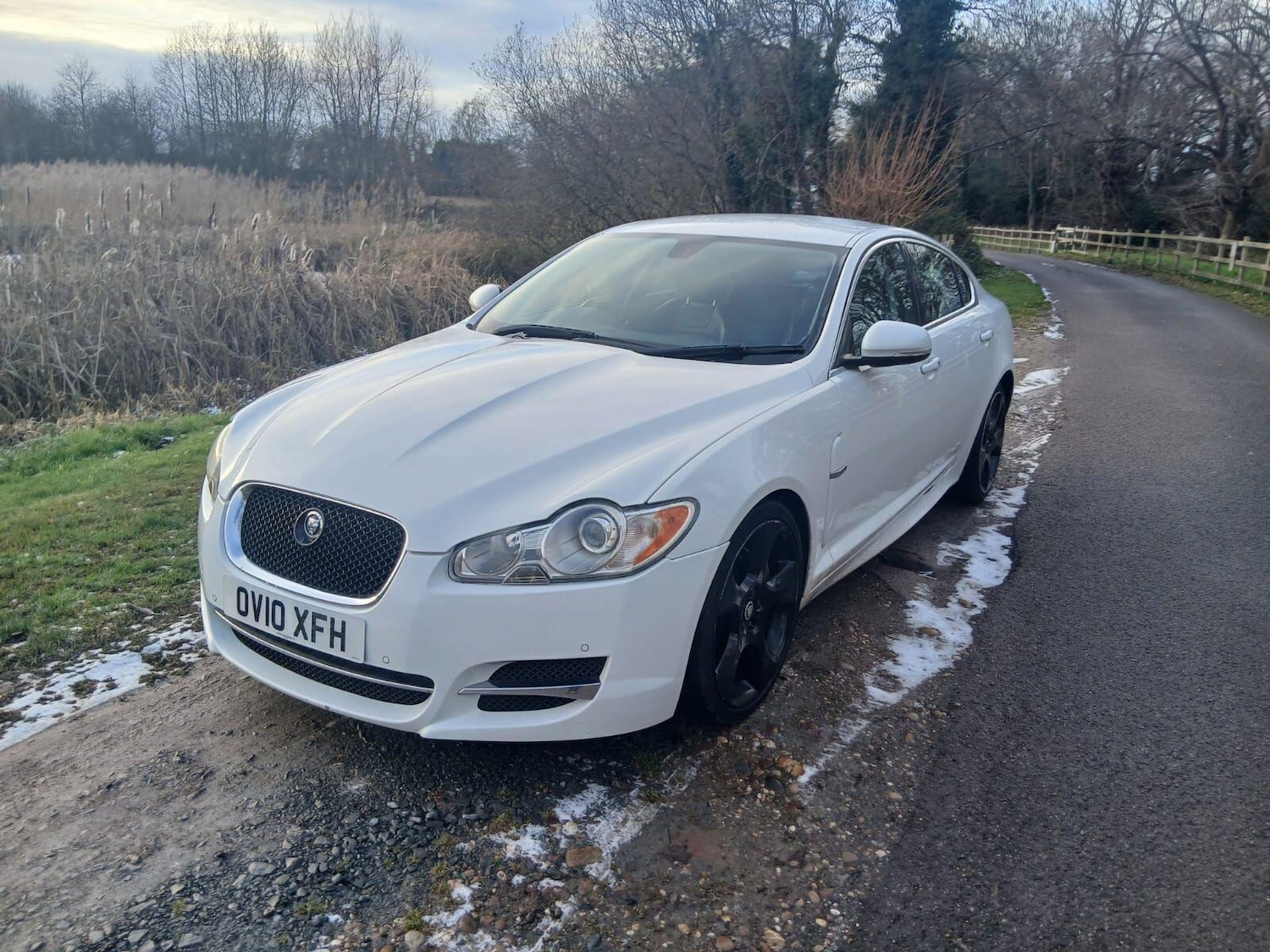Used Jaguar XF 2010 for sale - 77120100: Photo 7