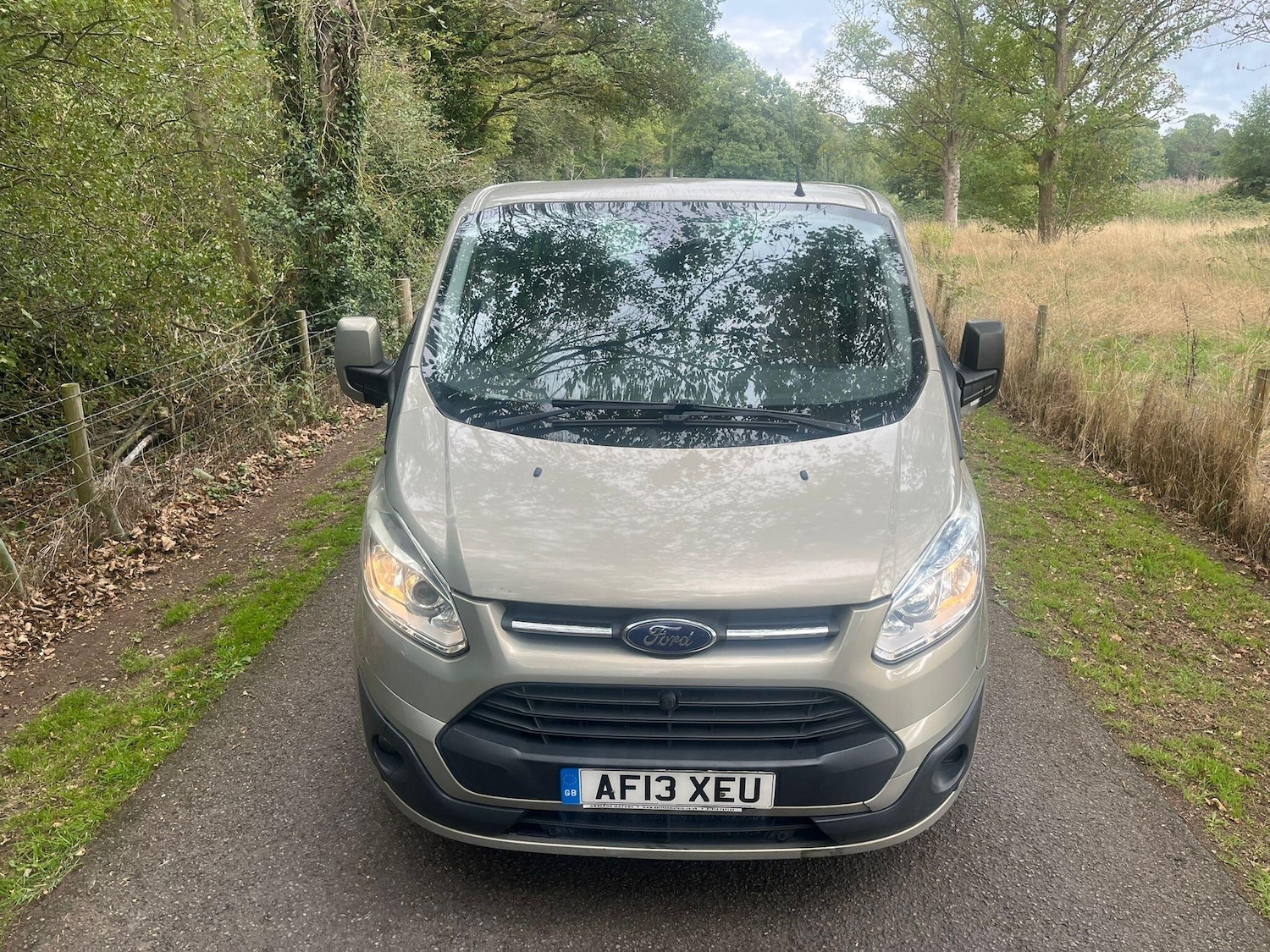 Used Ford Tourneo Custom 2013 for sale - 77970440: Photo 3