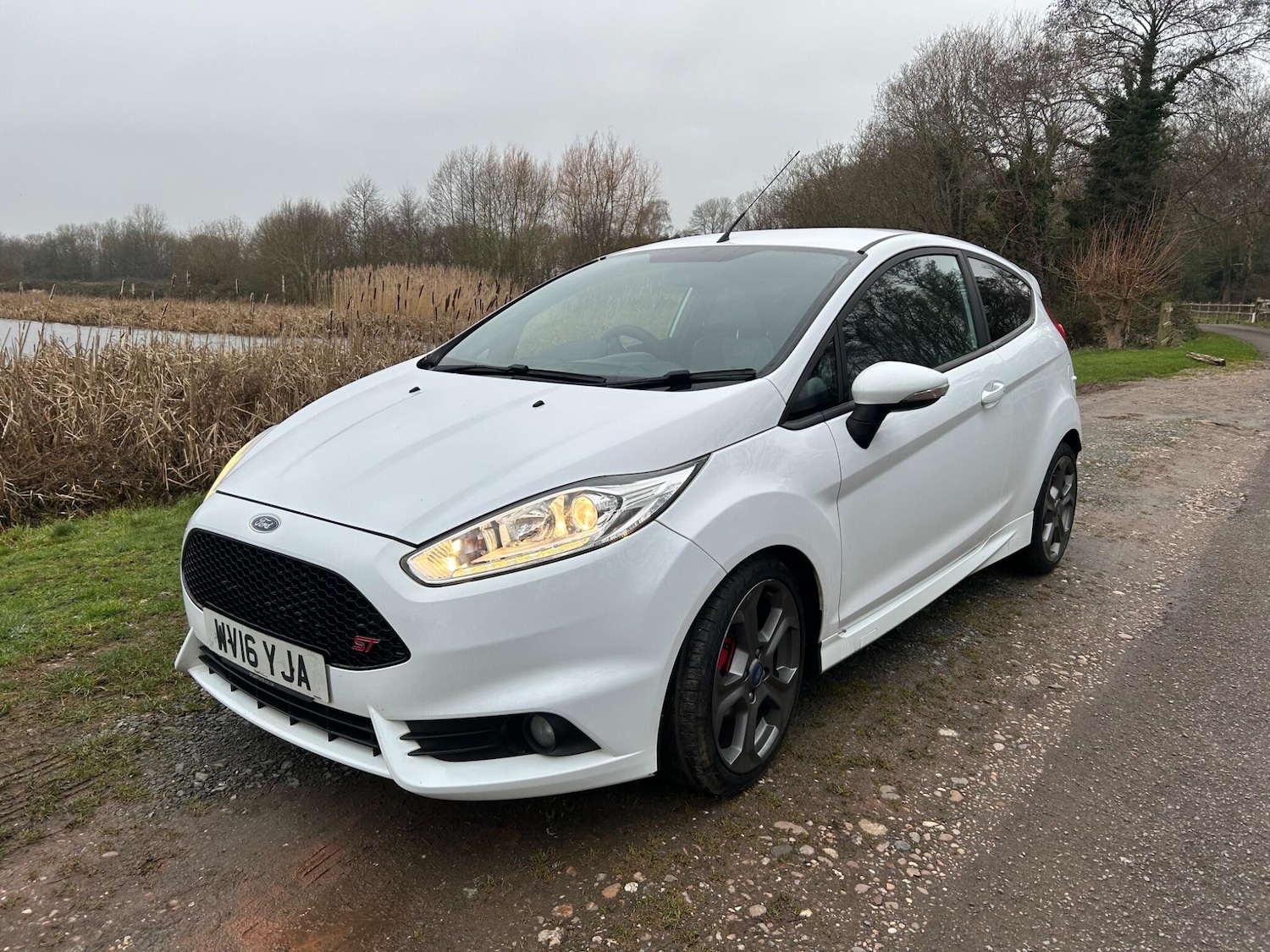 Used Ford Fiesta 2016 for sale - 77331724: Photo 20