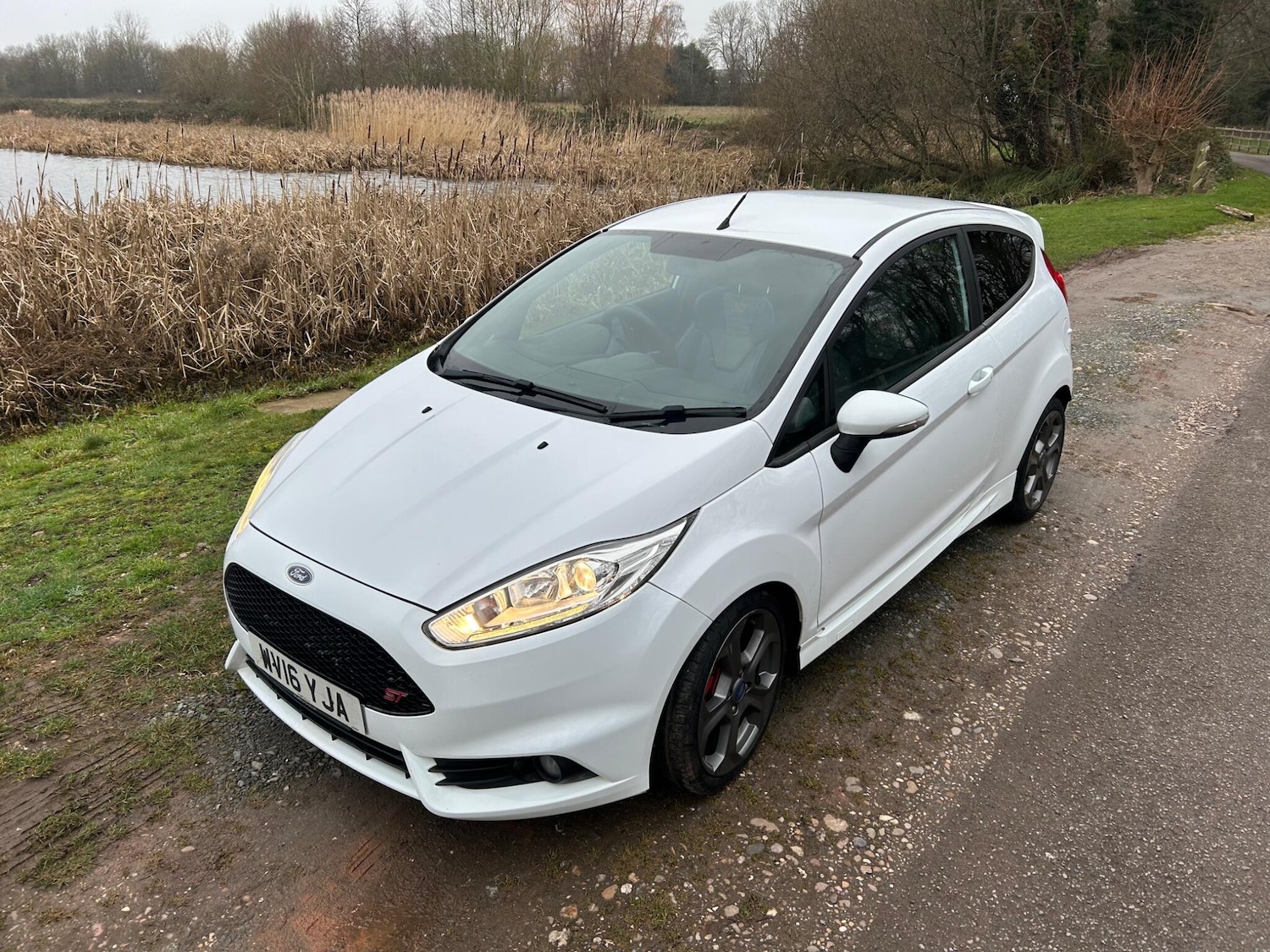 Used Ford Fiesta 2016 for sale - 77331724: Photo 21