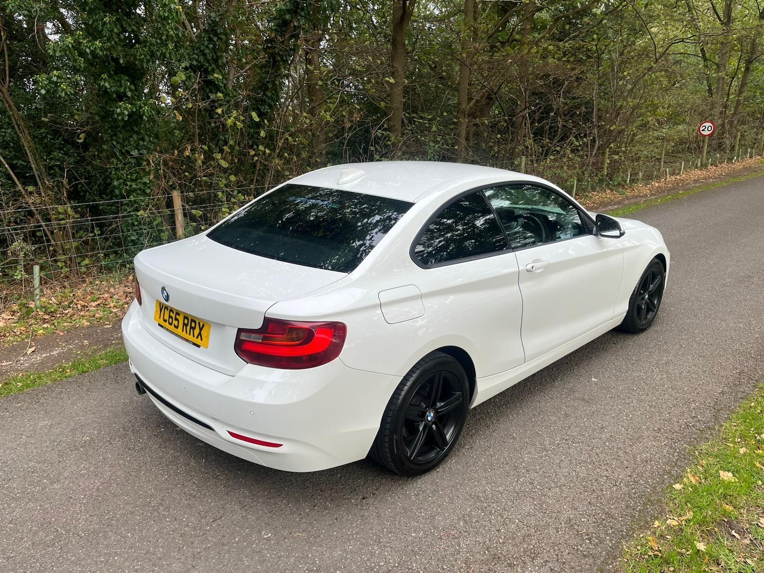 Used BMW 2 Series 2015 for sale - 76109258: Photo 18