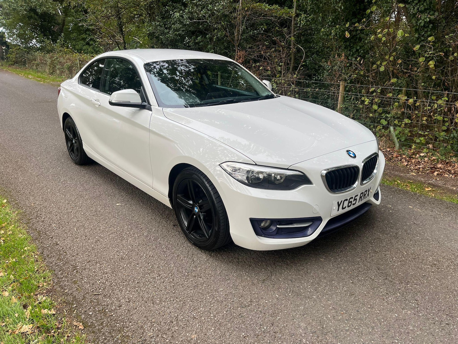 Used BMW 2 Series 2015 for sale - 76109258: Photo 2