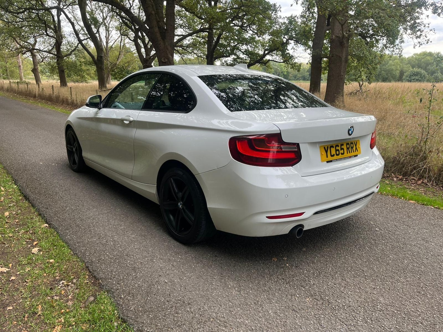 Used BMW 2 Series 2015 for sale - 76109258: Photo 3