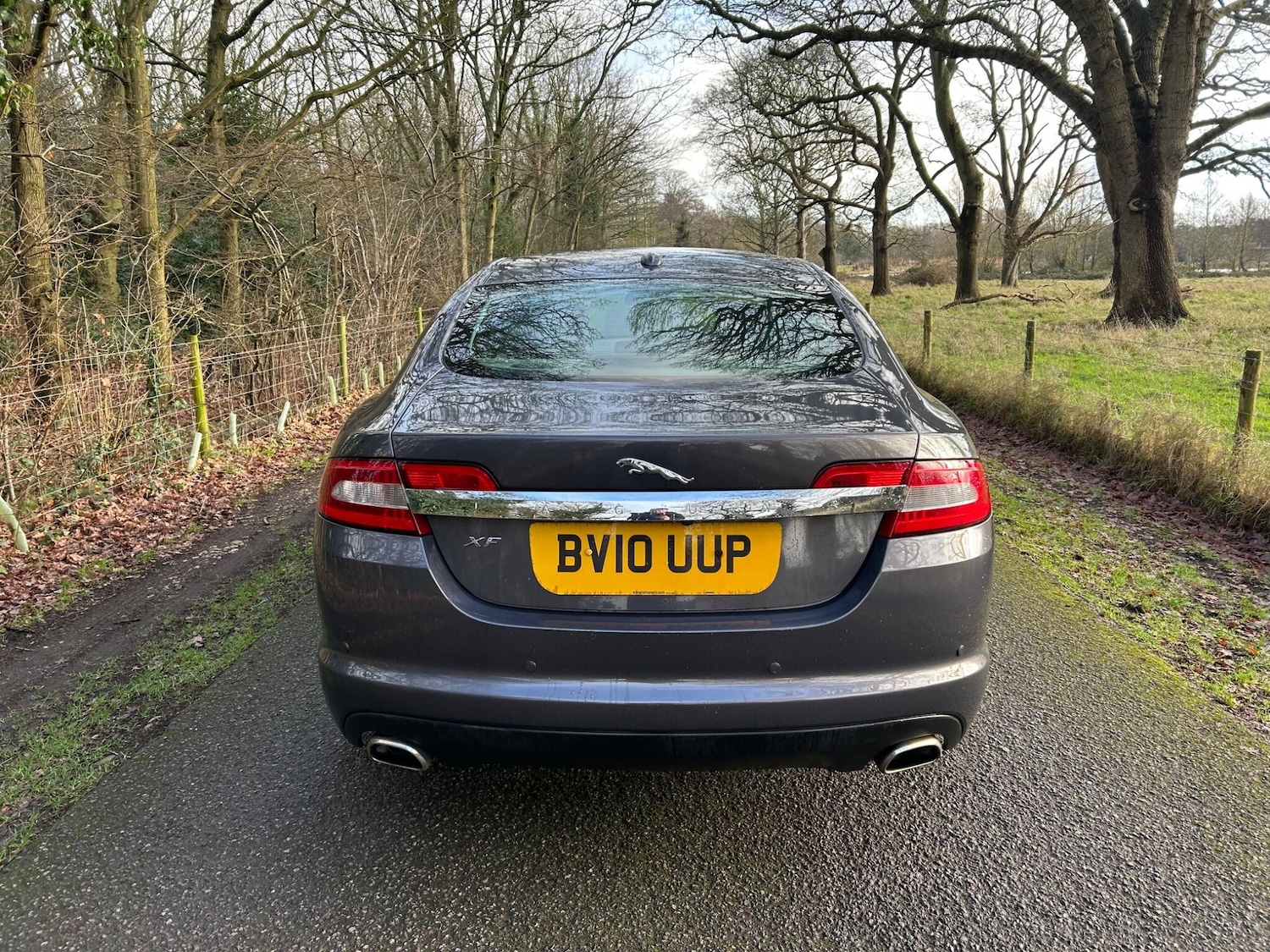 Used Jaguar XF 2010 for sale - 77229294: Photo 8