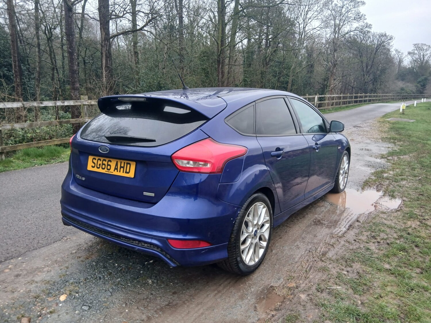 Used Ford Focus 2016 for sale - 78179782: Photo 13