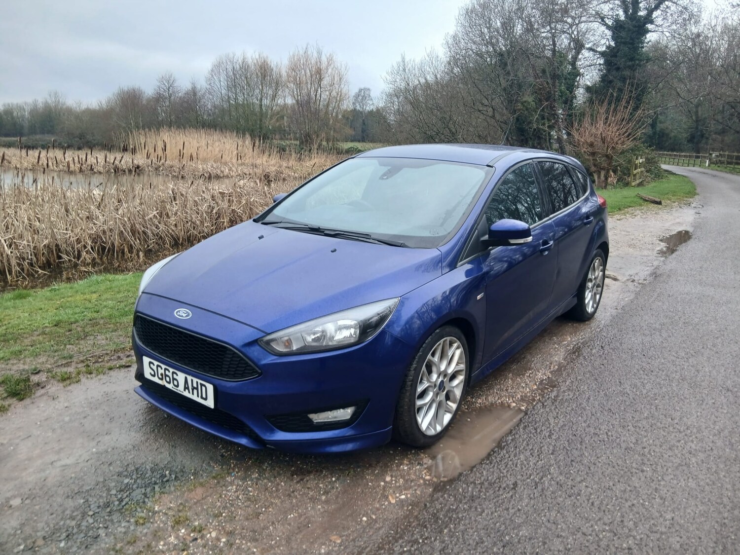 Used Ford Focus 2016 for sale - 78179782: Photo 14