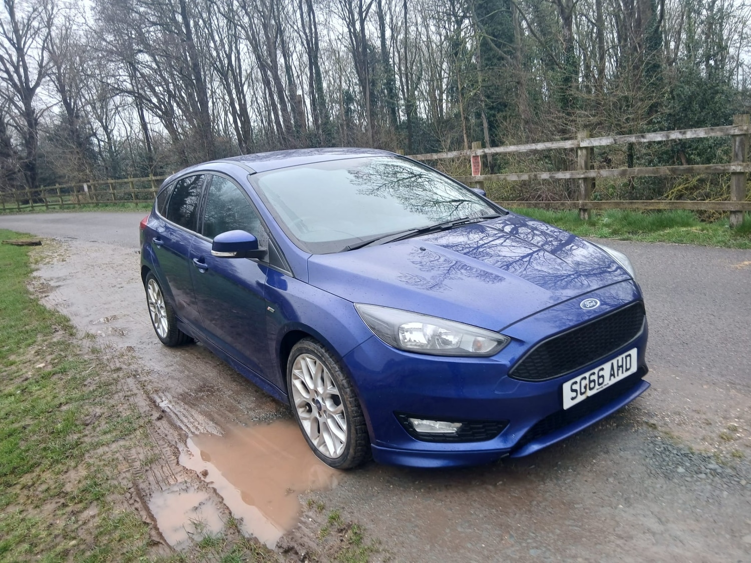 Used Ford Focus 2016 for sale - 78179782: Photo 16