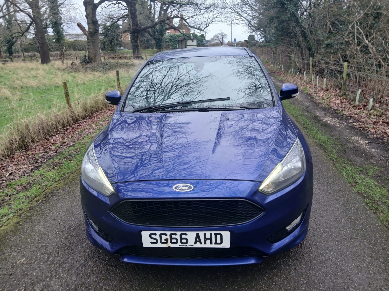 Used Ford Focus 2016 for sale - 78179782: Photo 2