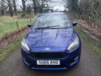 Used Ford Focus 2016 for sale - 78179782: Photo