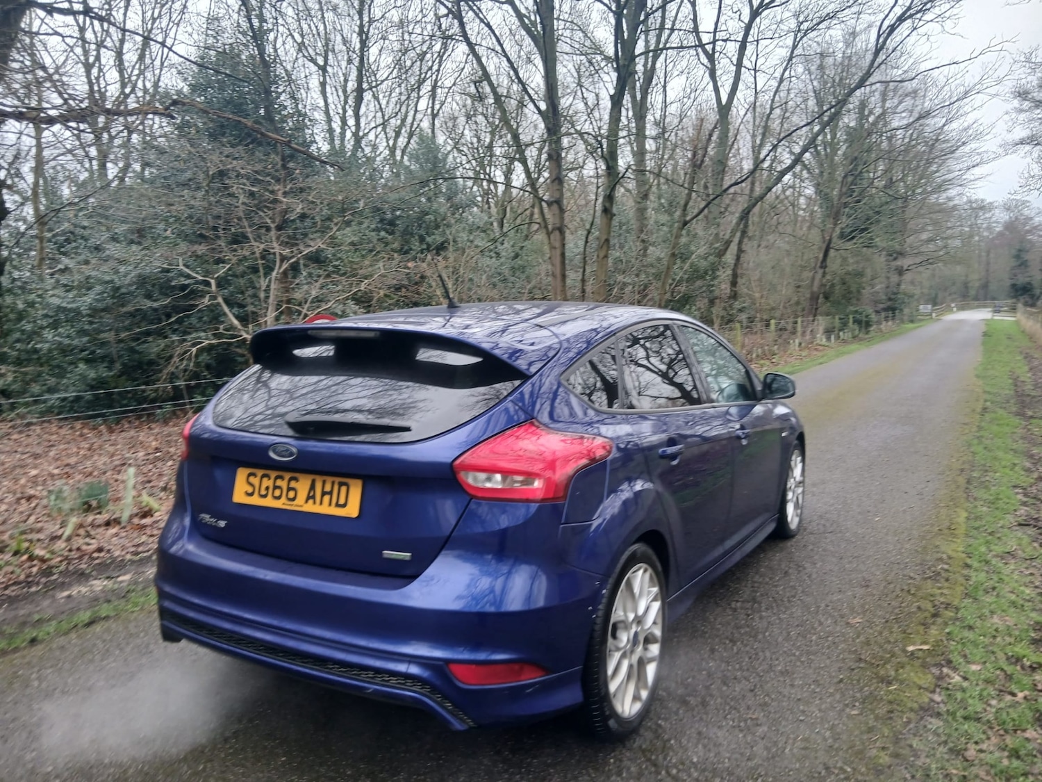 Used Ford Focus 2016 for sale - 78179782: Photo 5