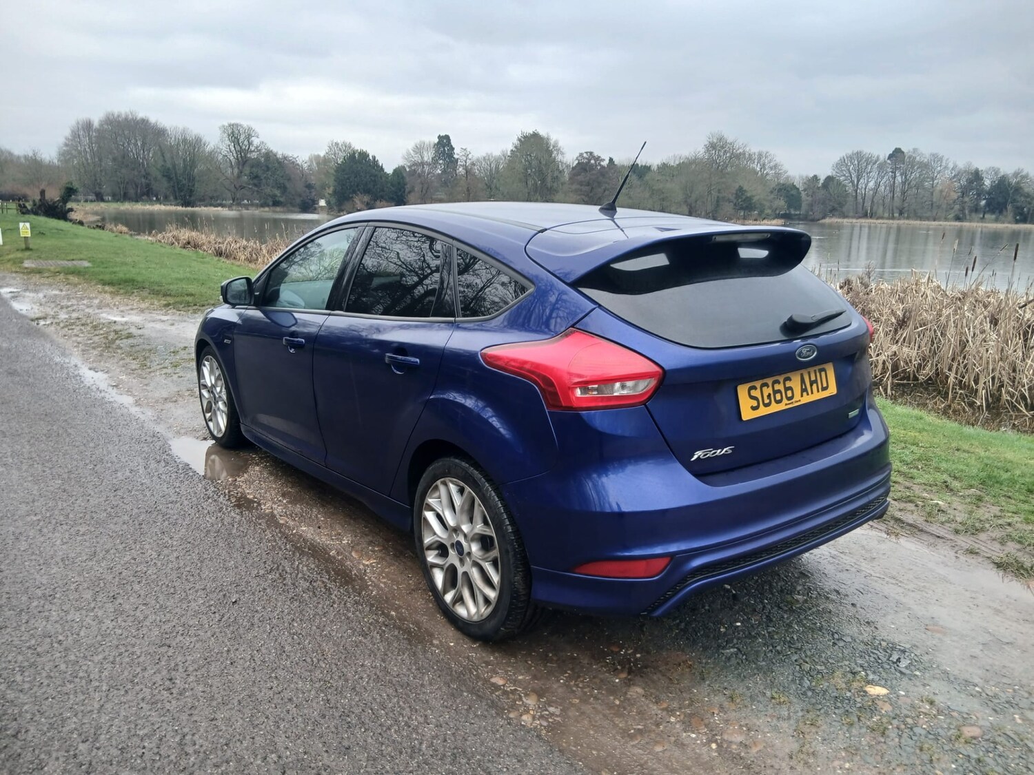 Used Ford Focus 2016 for sale - 78179782: Photo 7