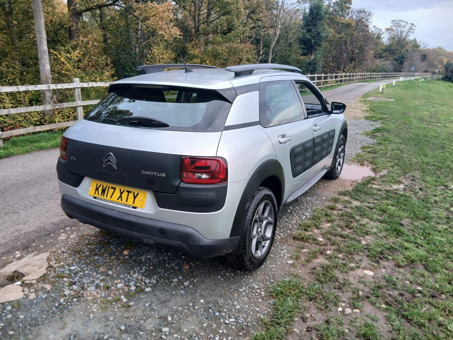 Used Citroen C4 Cactus for sale - 76485125: Photo 11