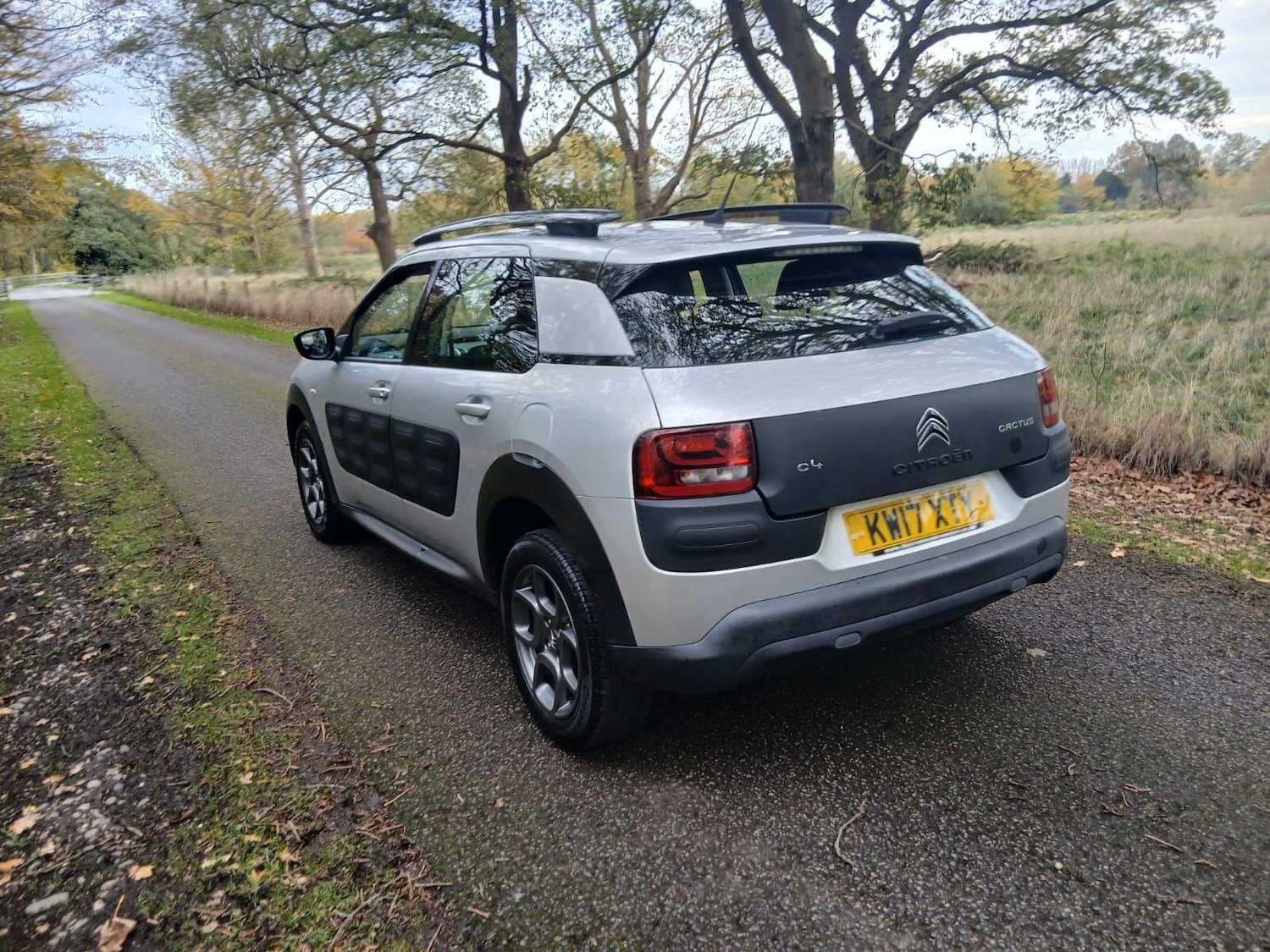 Used Citroen C4 Cactus for sale - 76485125: Photo 6