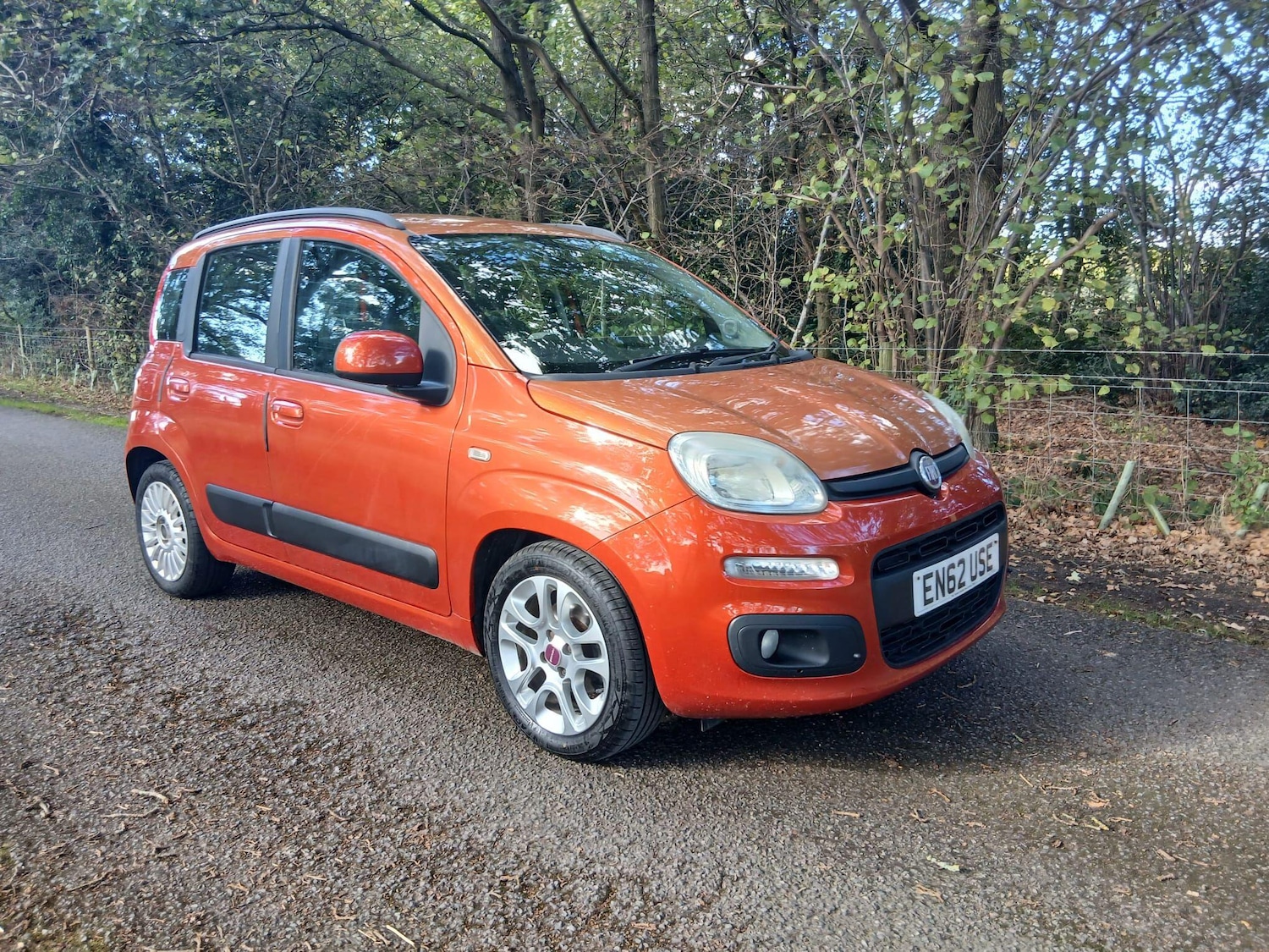 Used Fiat Panda 2013 for sale - 76032245: Photo 1
