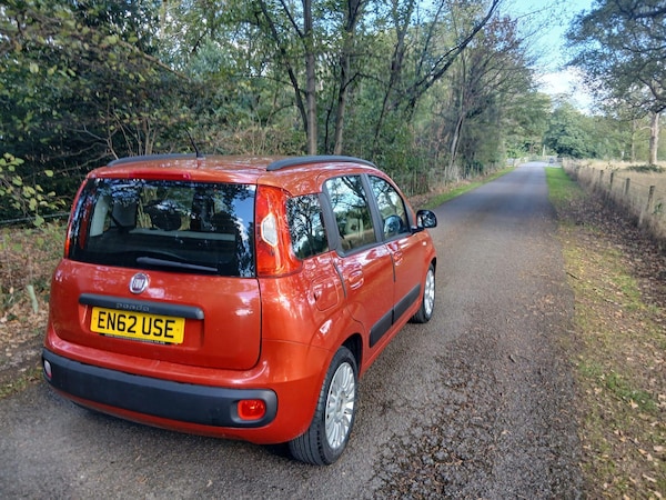 Used Fiat Panda 2013 for sale - 76032245: Photo 4