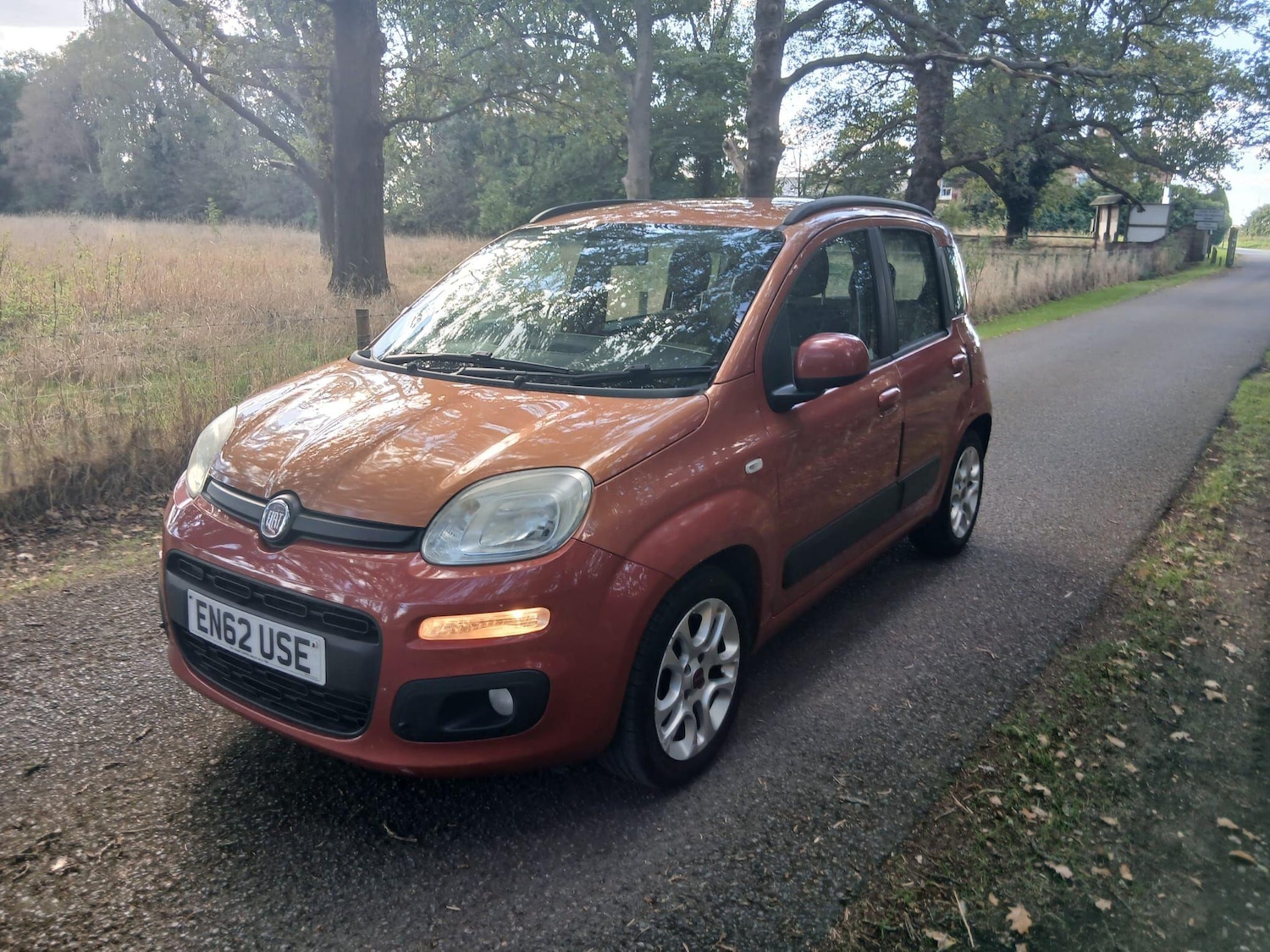 Used Fiat Panda 2013 for sale - 76032245: Photo 5