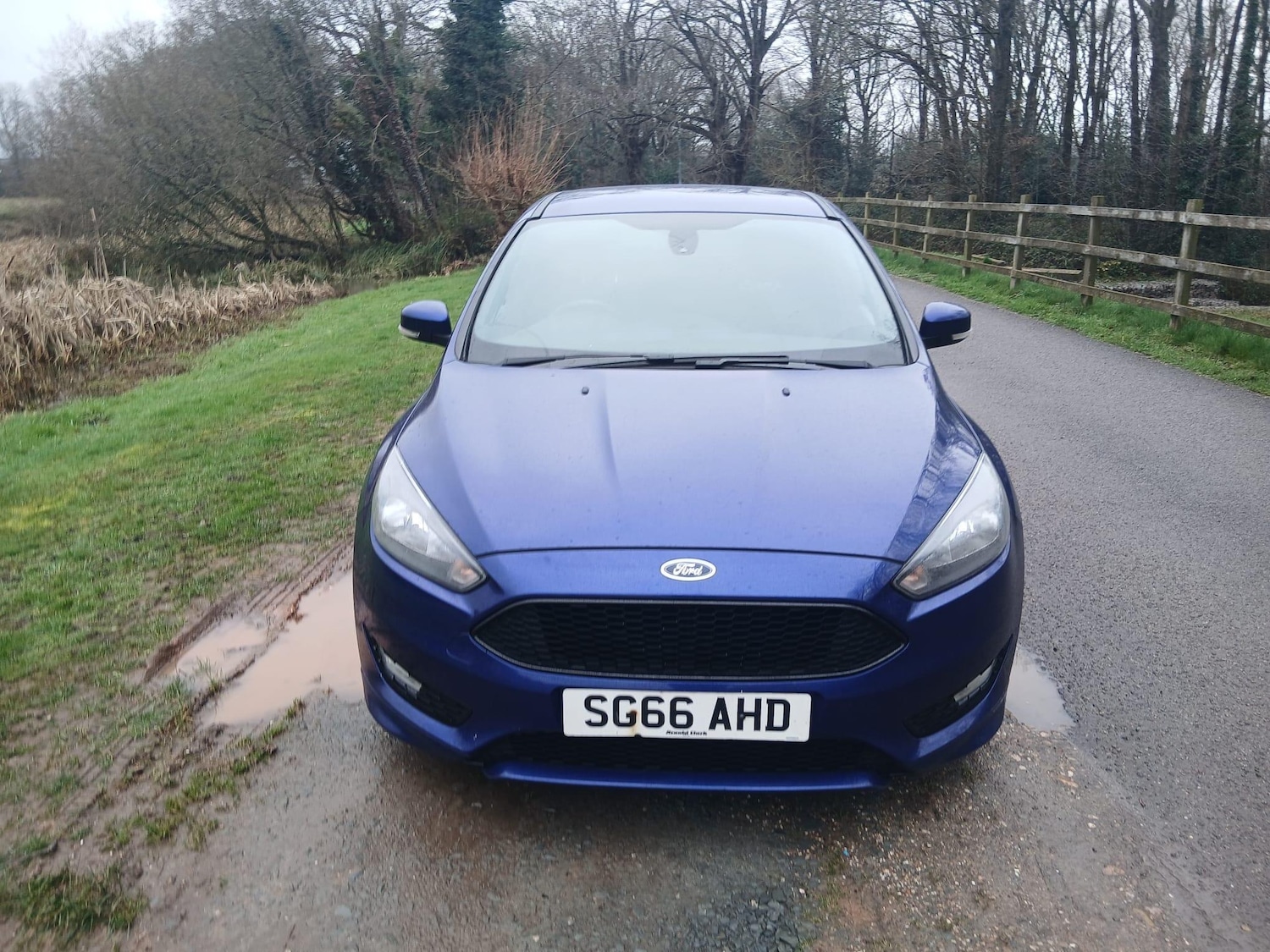 Used Ford Focus for sale - 77612620: Photo 10