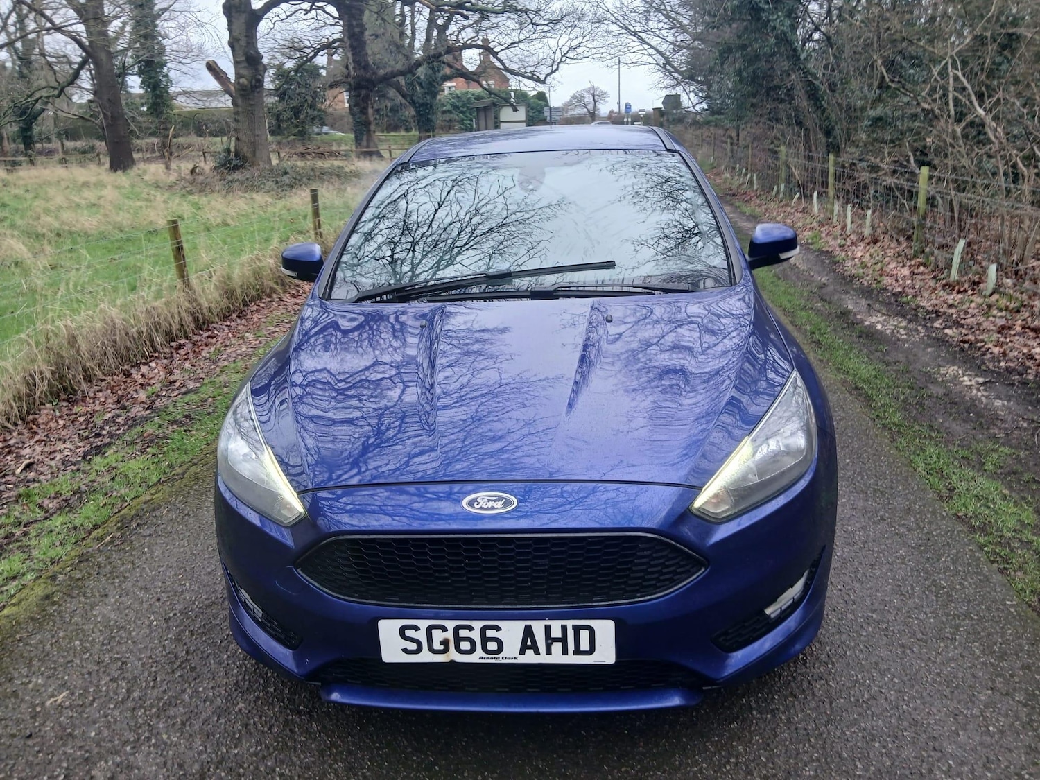 Used Ford Focus for sale - 77612620: Photo 2