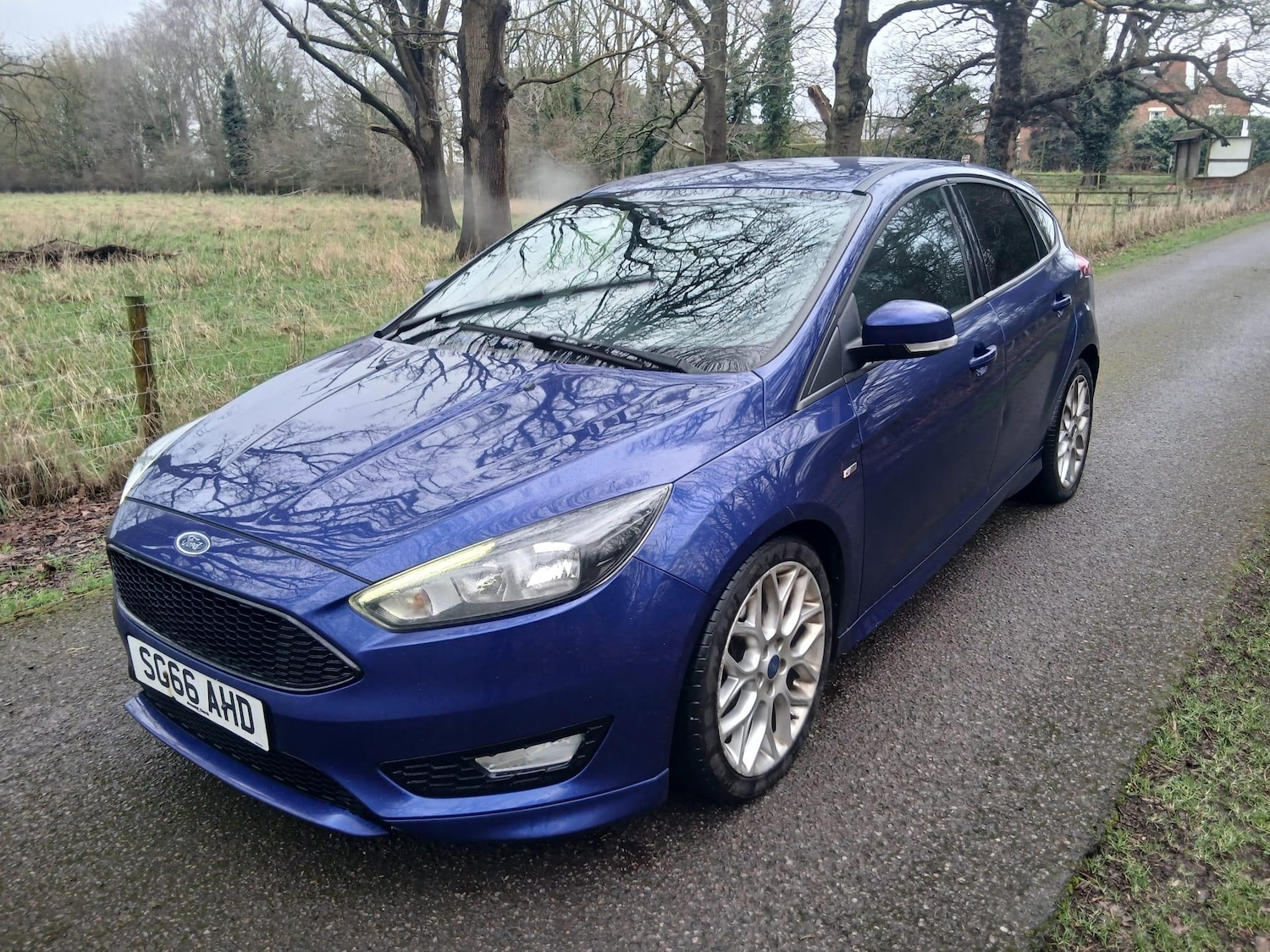 Used Ford Focus for sale - 77612620: Photo 3
