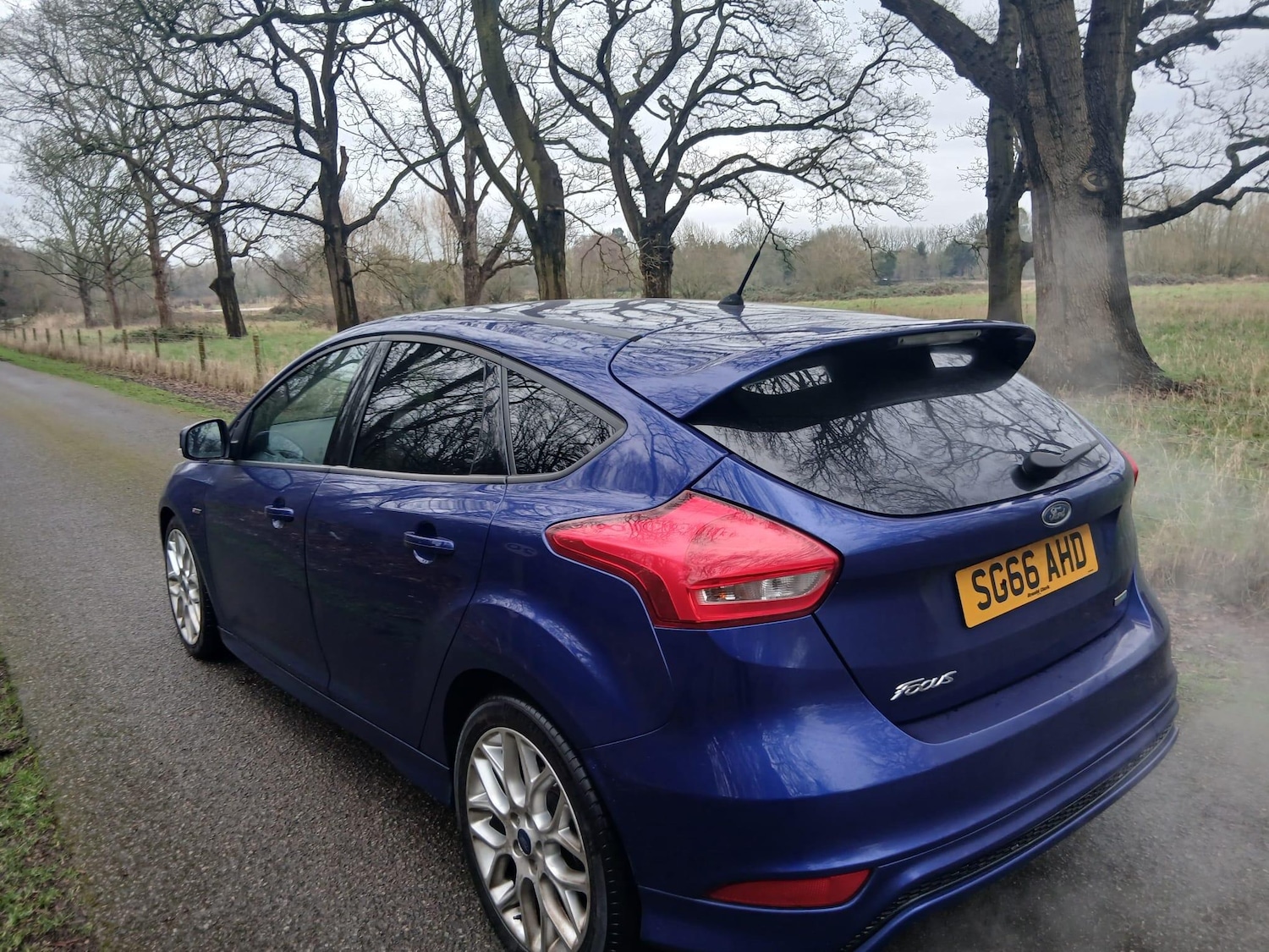 Used Ford Focus for sale - 77612620: Photo 4