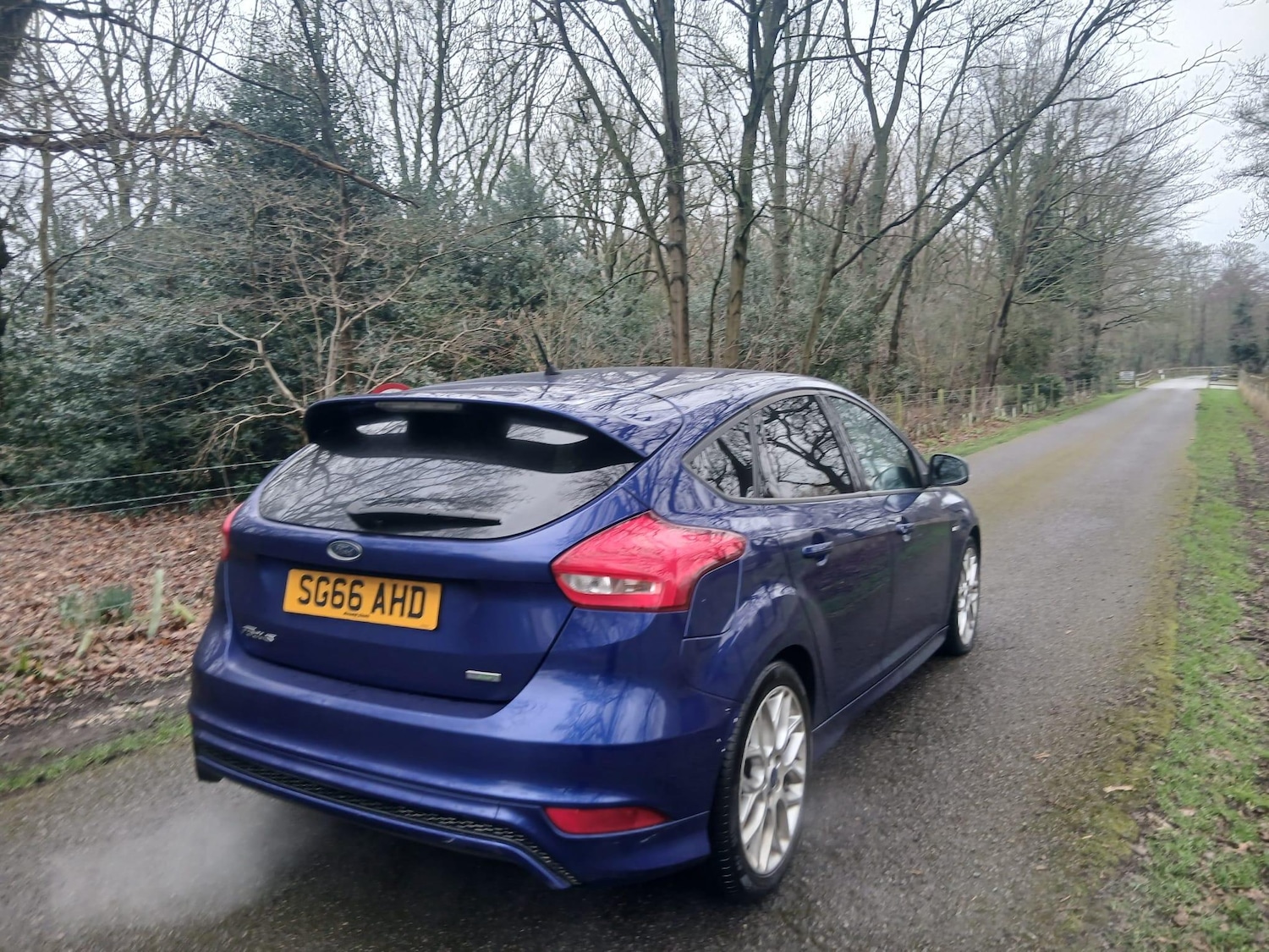 Used Ford Focus for sale - 77612620: Photo 5