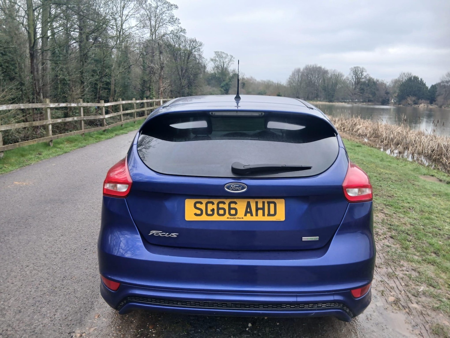 Used Ford Focus for sale - 77612620: Photo 6