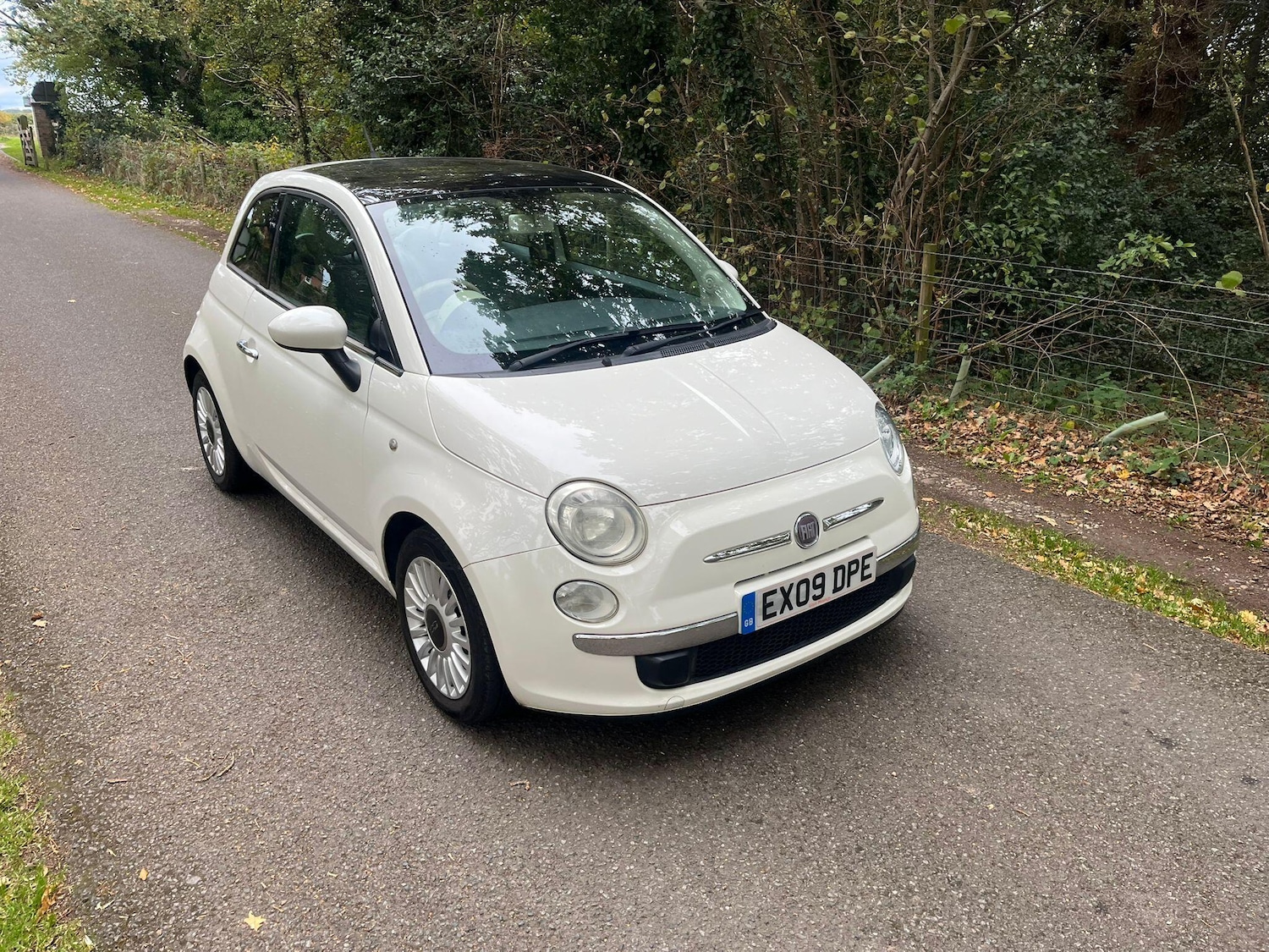Used Fiat 500 2009 for sale - 76239587: Photo 1