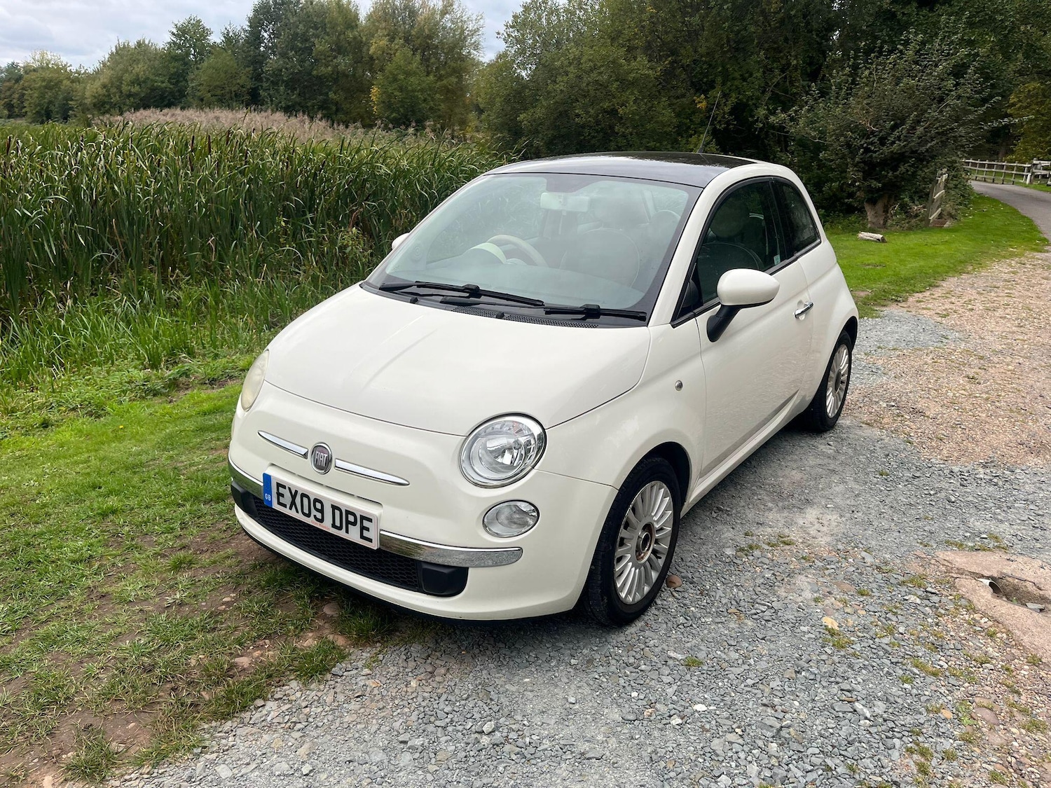 Used Fiat 500 2009 for sale - 76239587: Photo 14