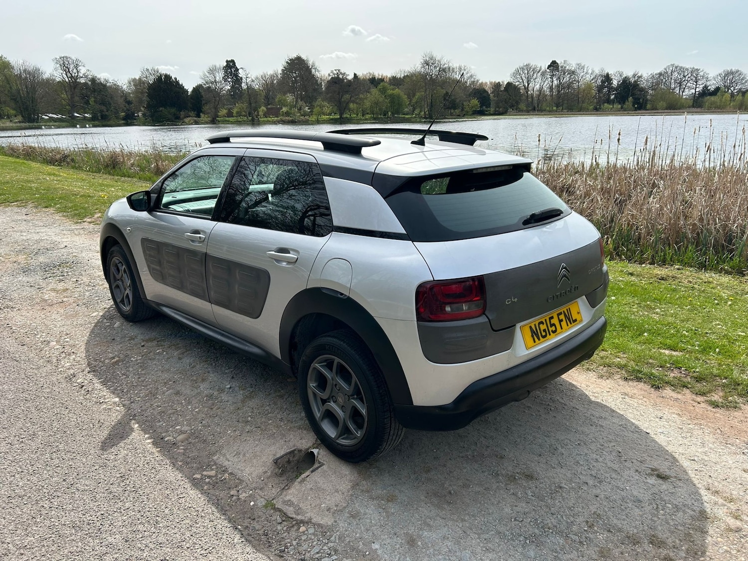 Used Citroen C4 Cactus 2015 for sale - 78197748: Photo 16