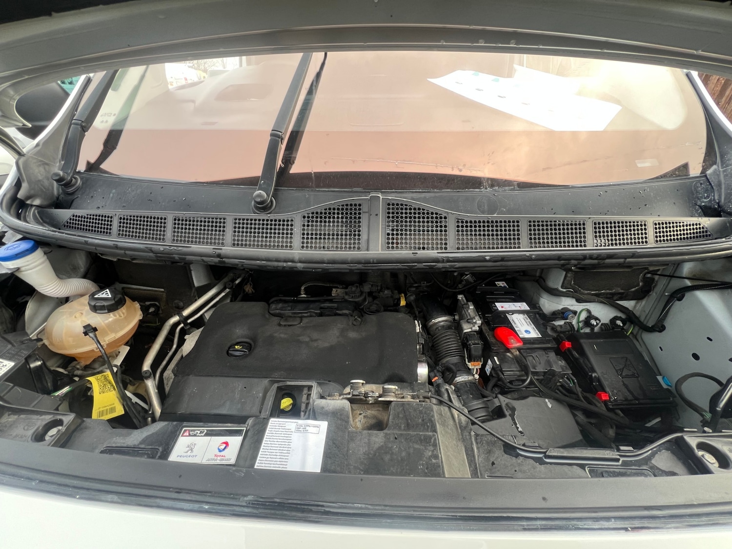 Used Peugeot Expert 2021 for sale - 78025074: Photo 13