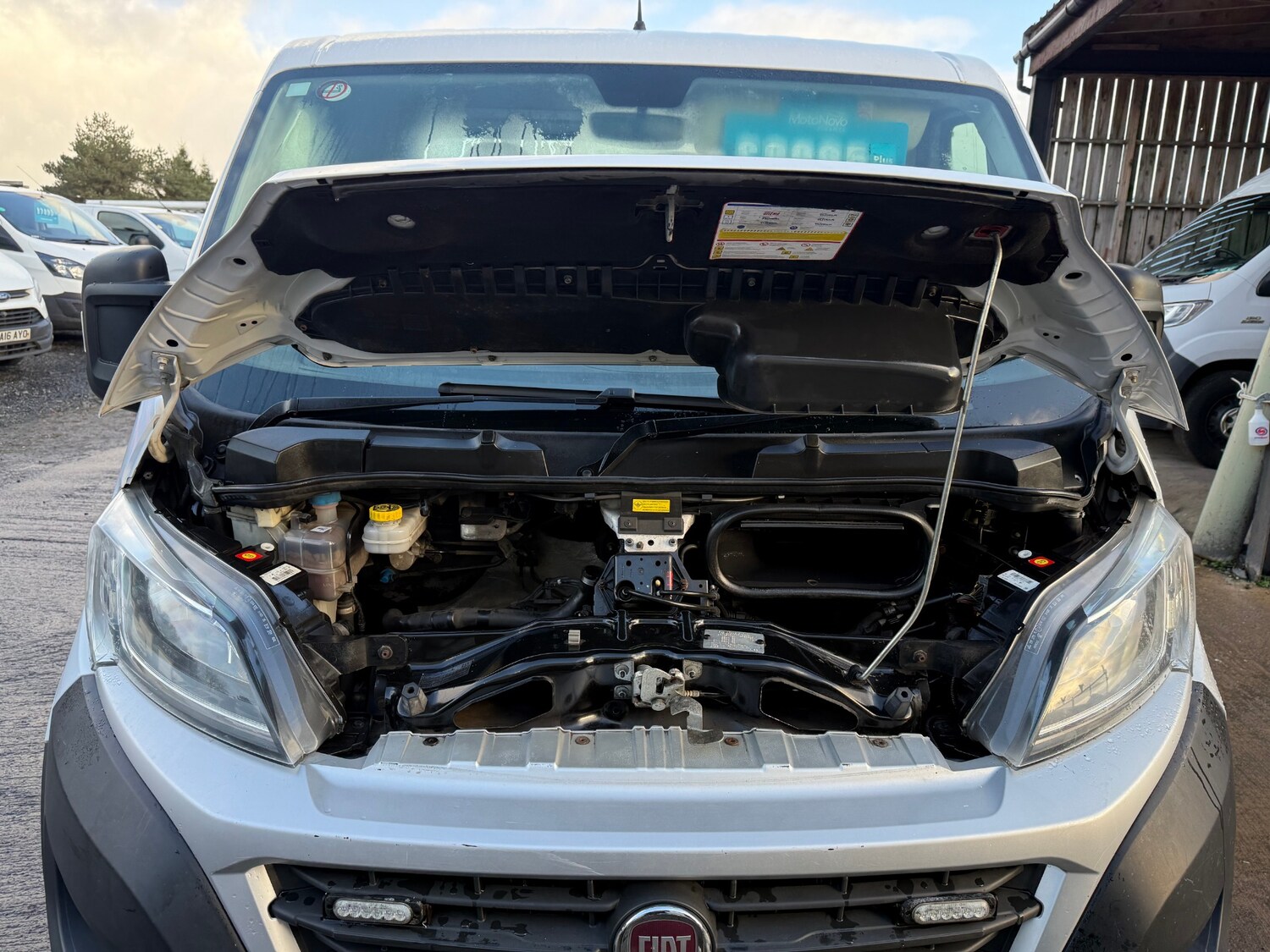 Used Fiat Ducato 2019 for sale - 77965789: Photo 6