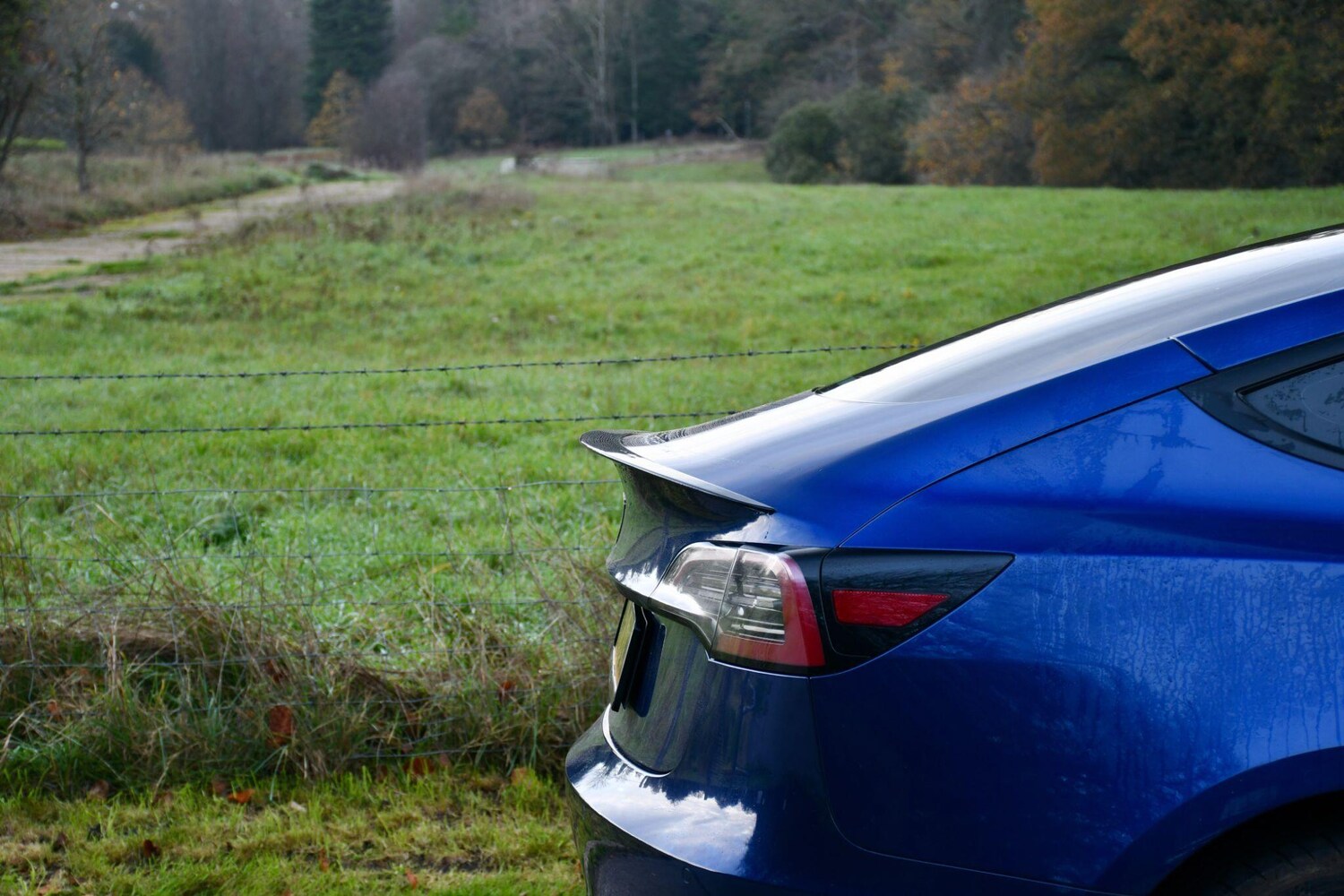 Used Tesla Model 3 2021 for sale - 77590045: Photo 55