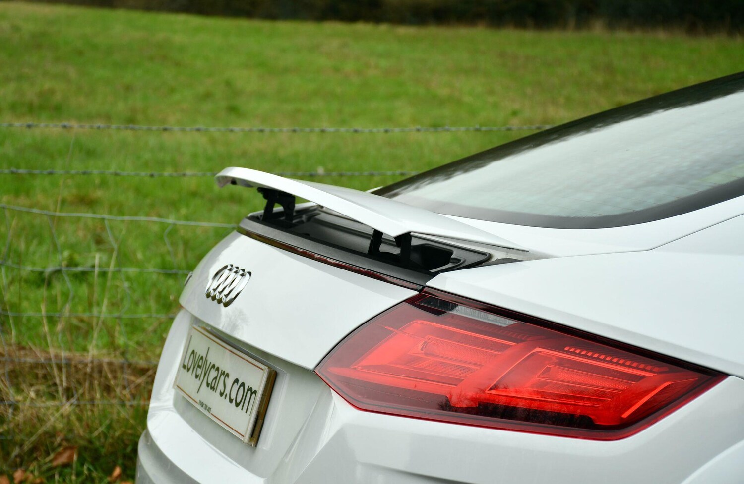 Used Audi TT 2019 for sale - 77838639: Photo 51