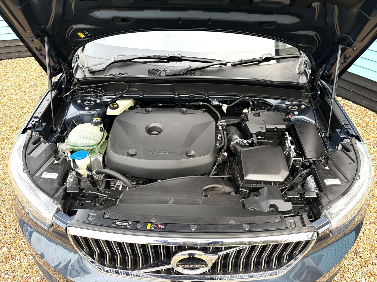 Used Volvo XC40 2019 for sale - 78149981: Photo 11