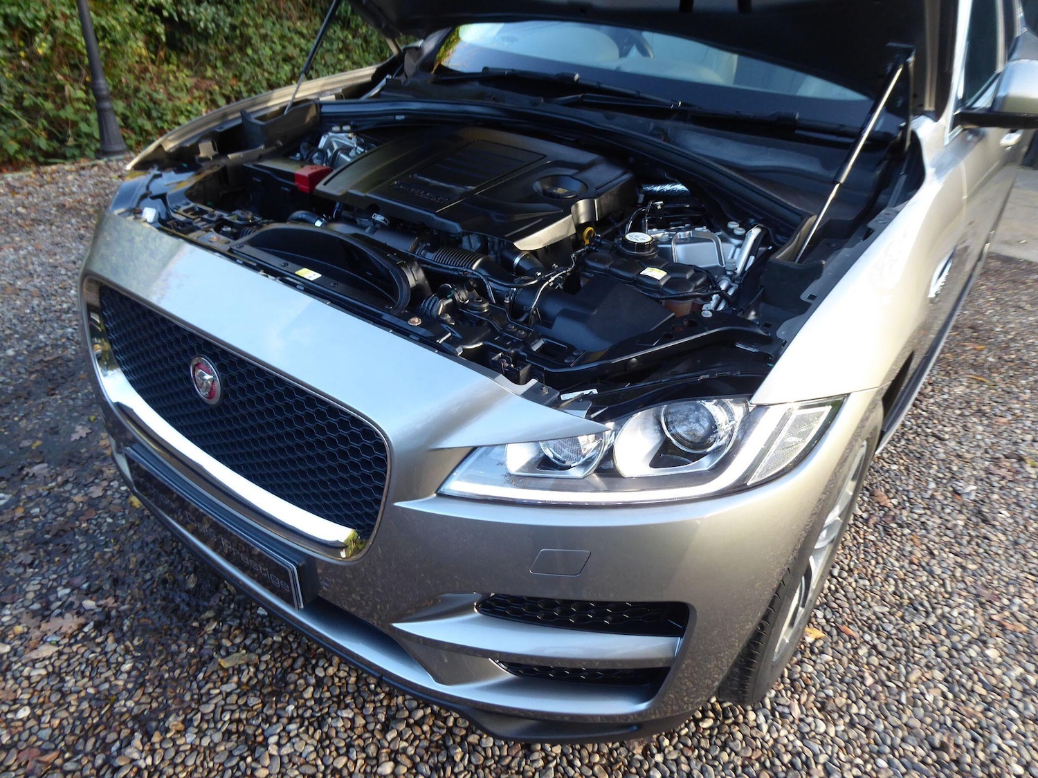 Used Jaguar F-Pace for sale - 77326205: Photo 31